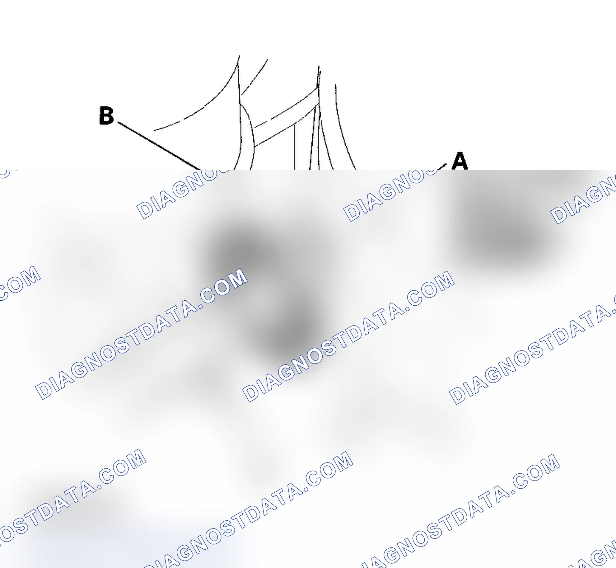 Scheme 13: Front Toe Inspection/Adjustment