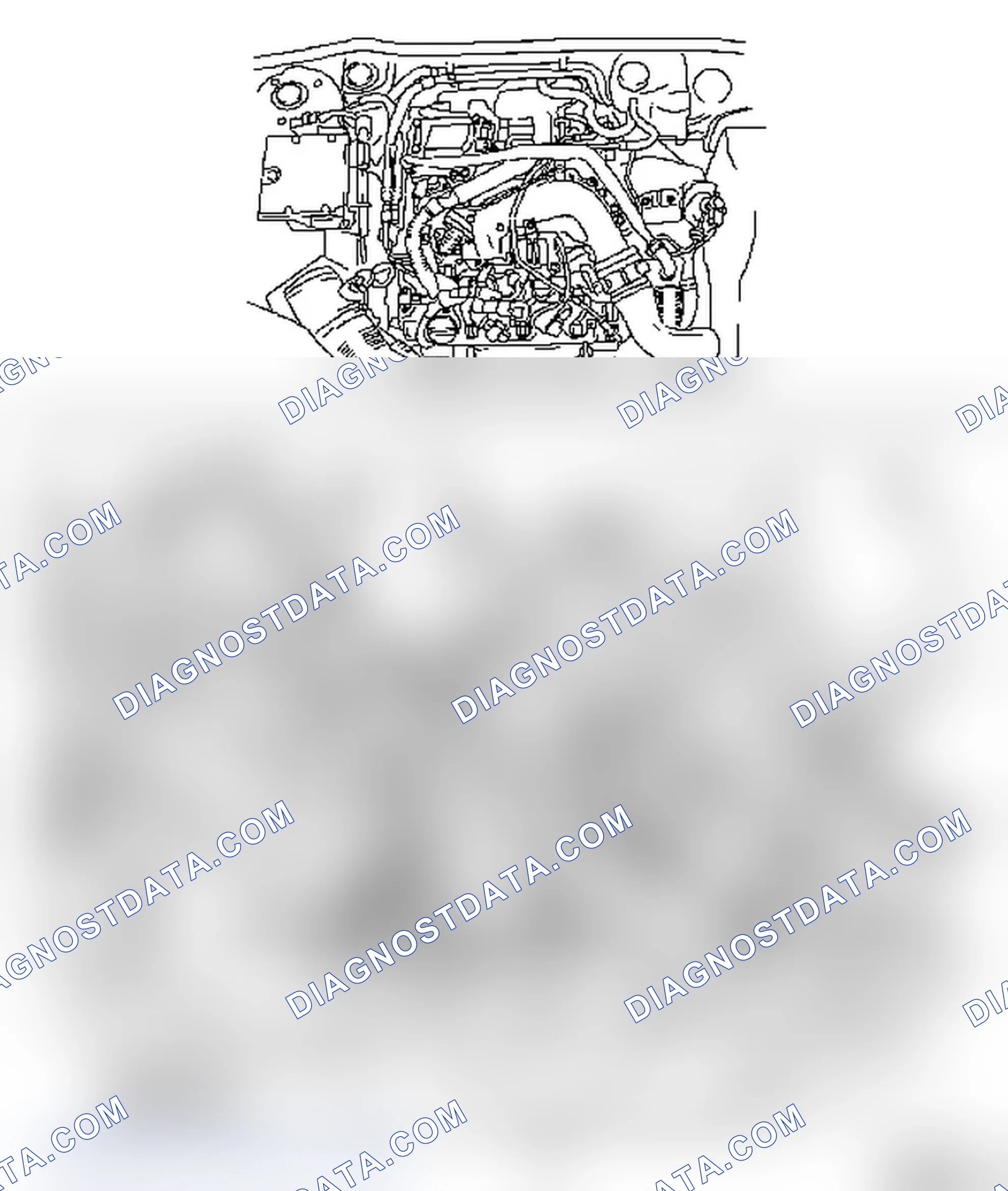 Engine Management System