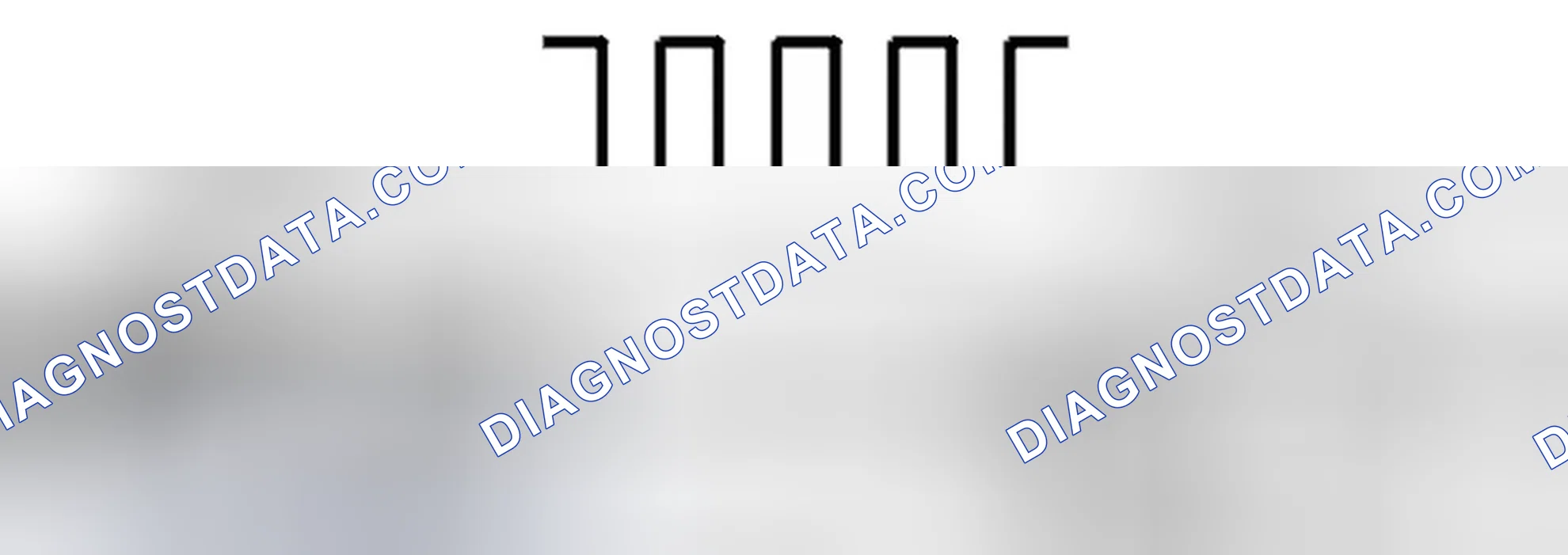 Scheme 25: Diagnostic trouble code (DTC) information
