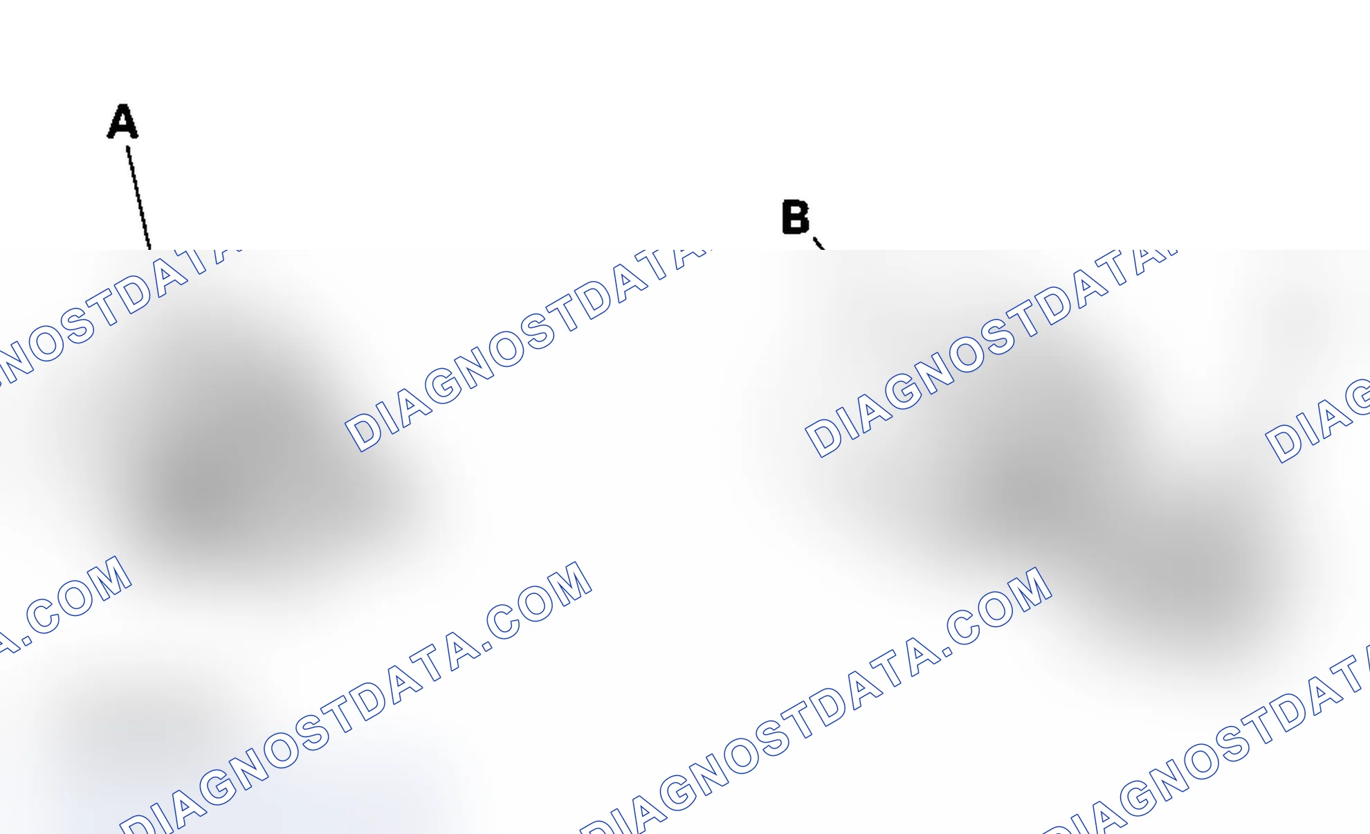 Scheme 7