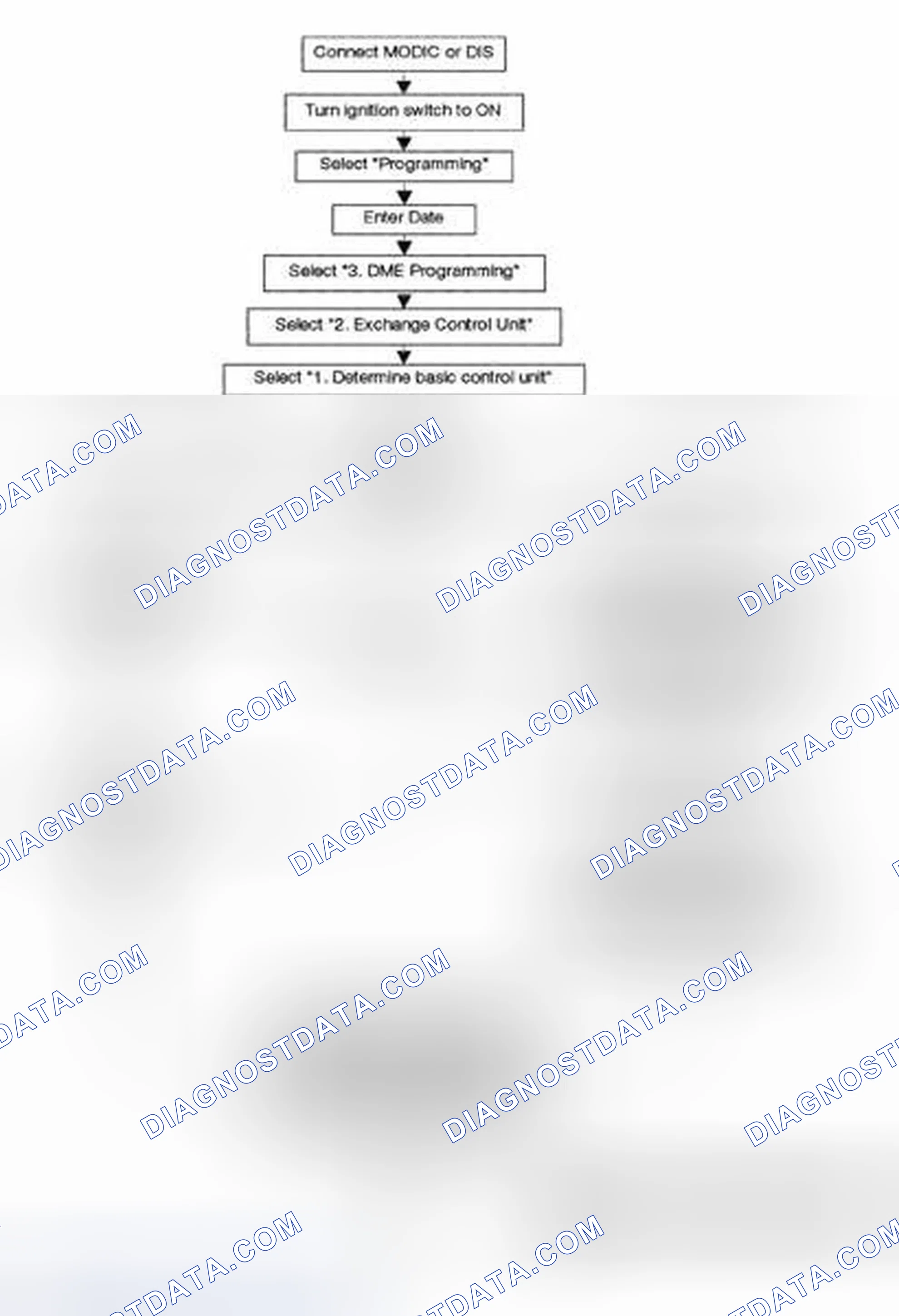Scheme 225: Procedure for Flash Programming a Control Unit.
