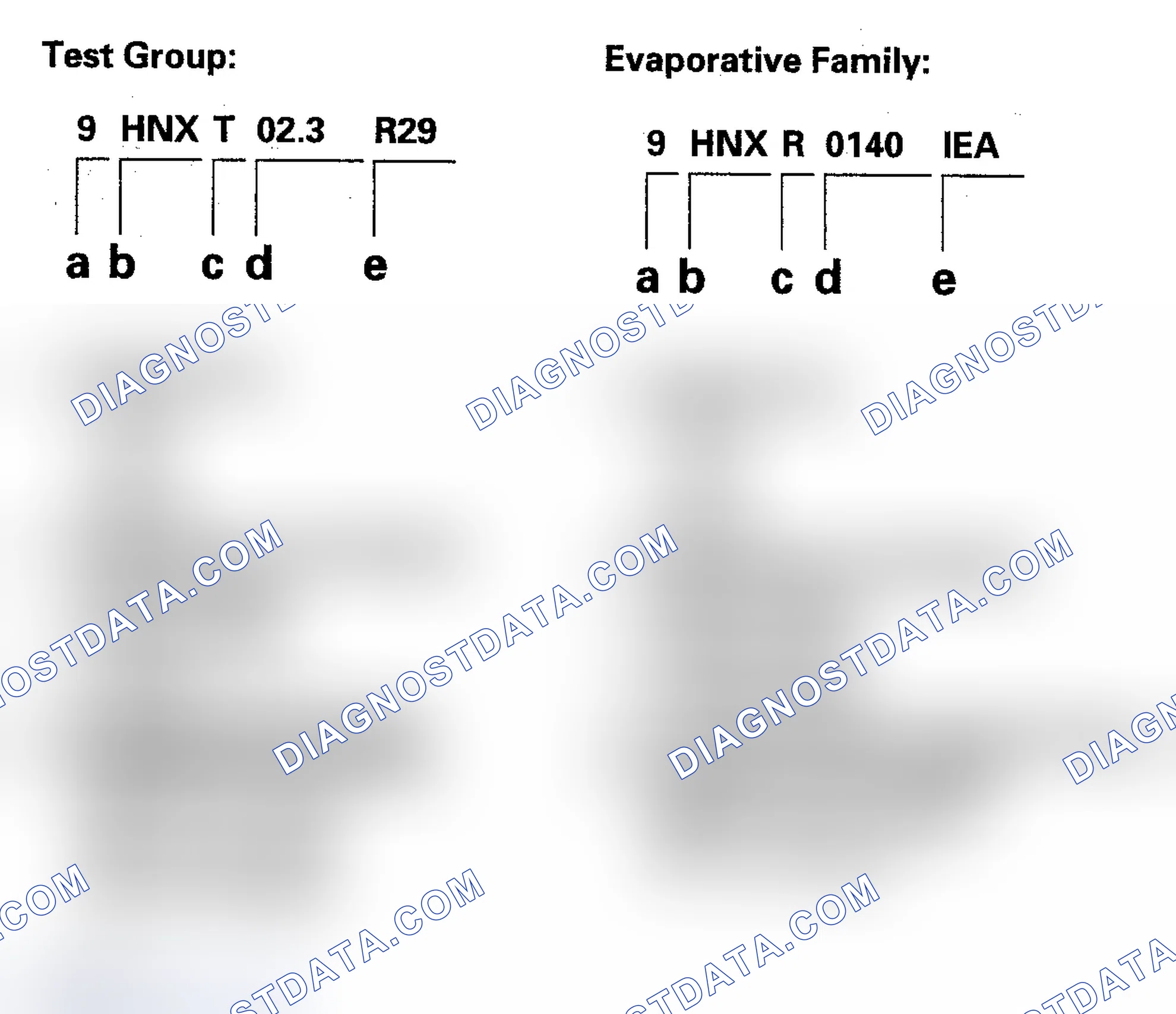 Scheme 16: Identifying Test Group And Evaporative Family