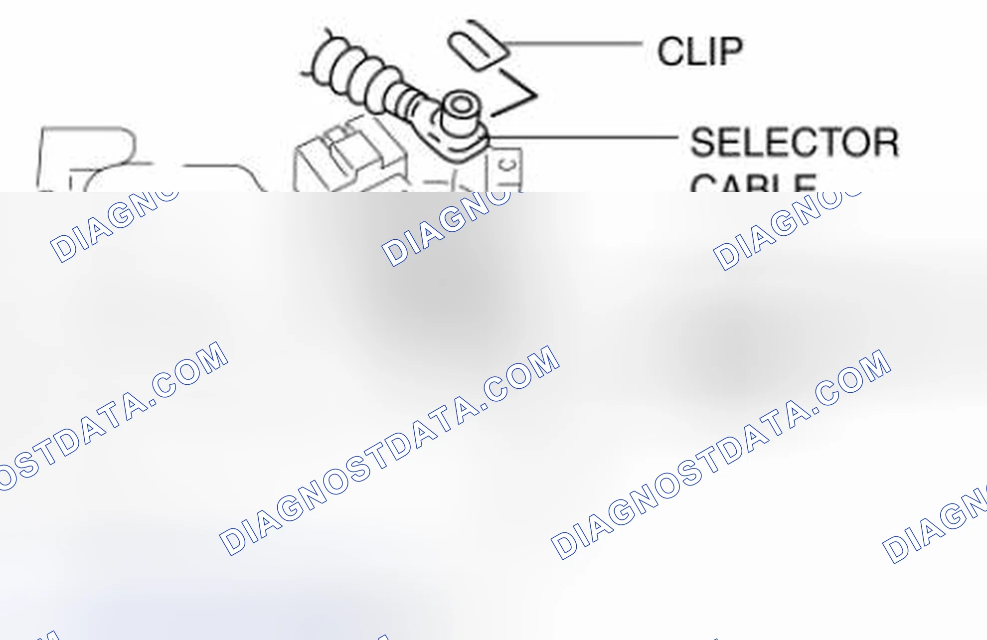 Scheme 481