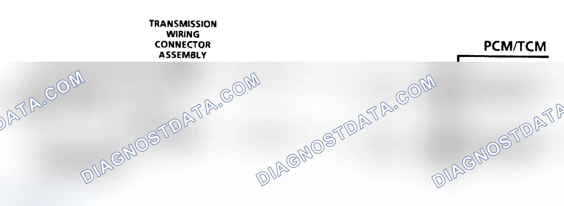 Scheme 295: Diagnostic Aids