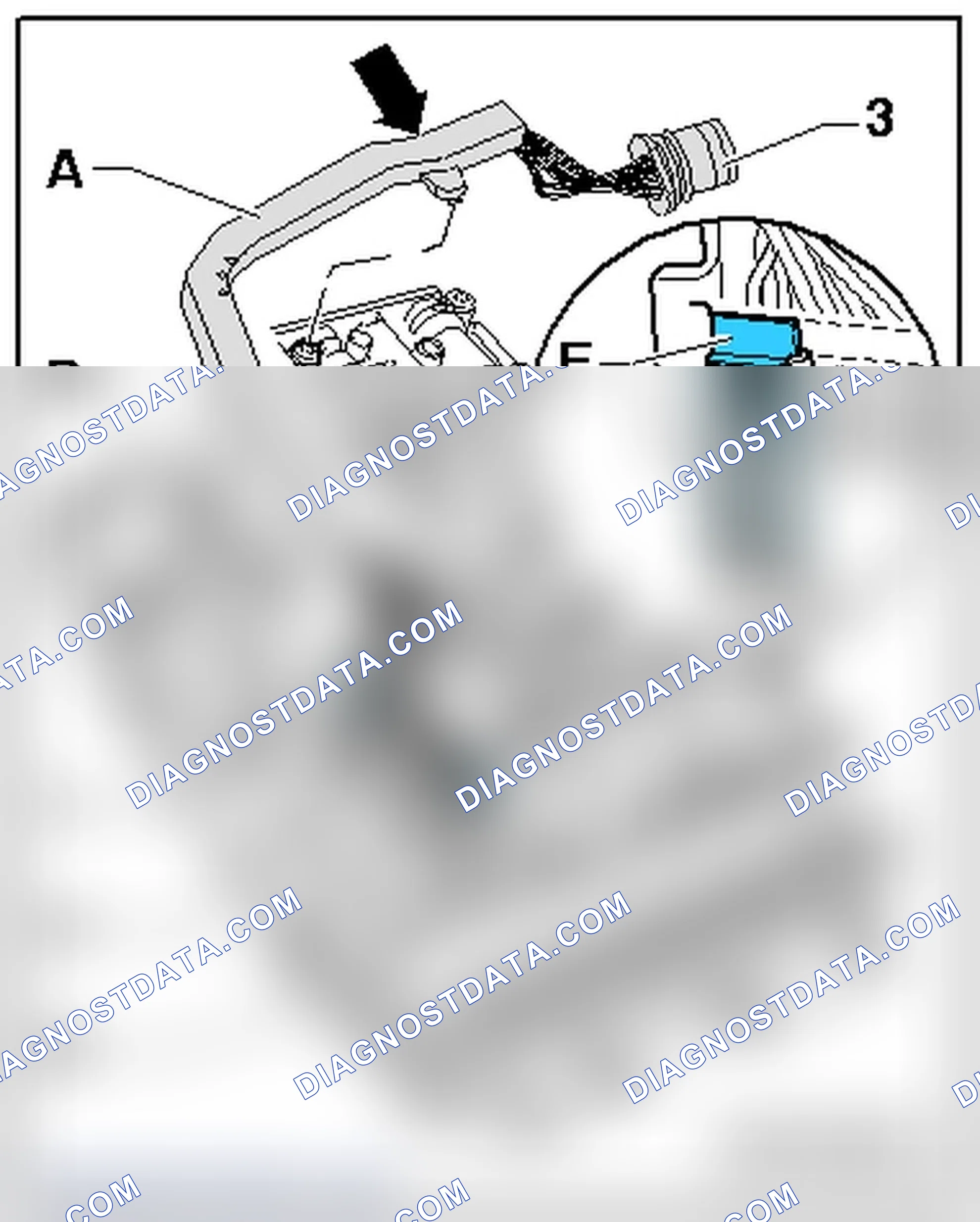 Scheme 519