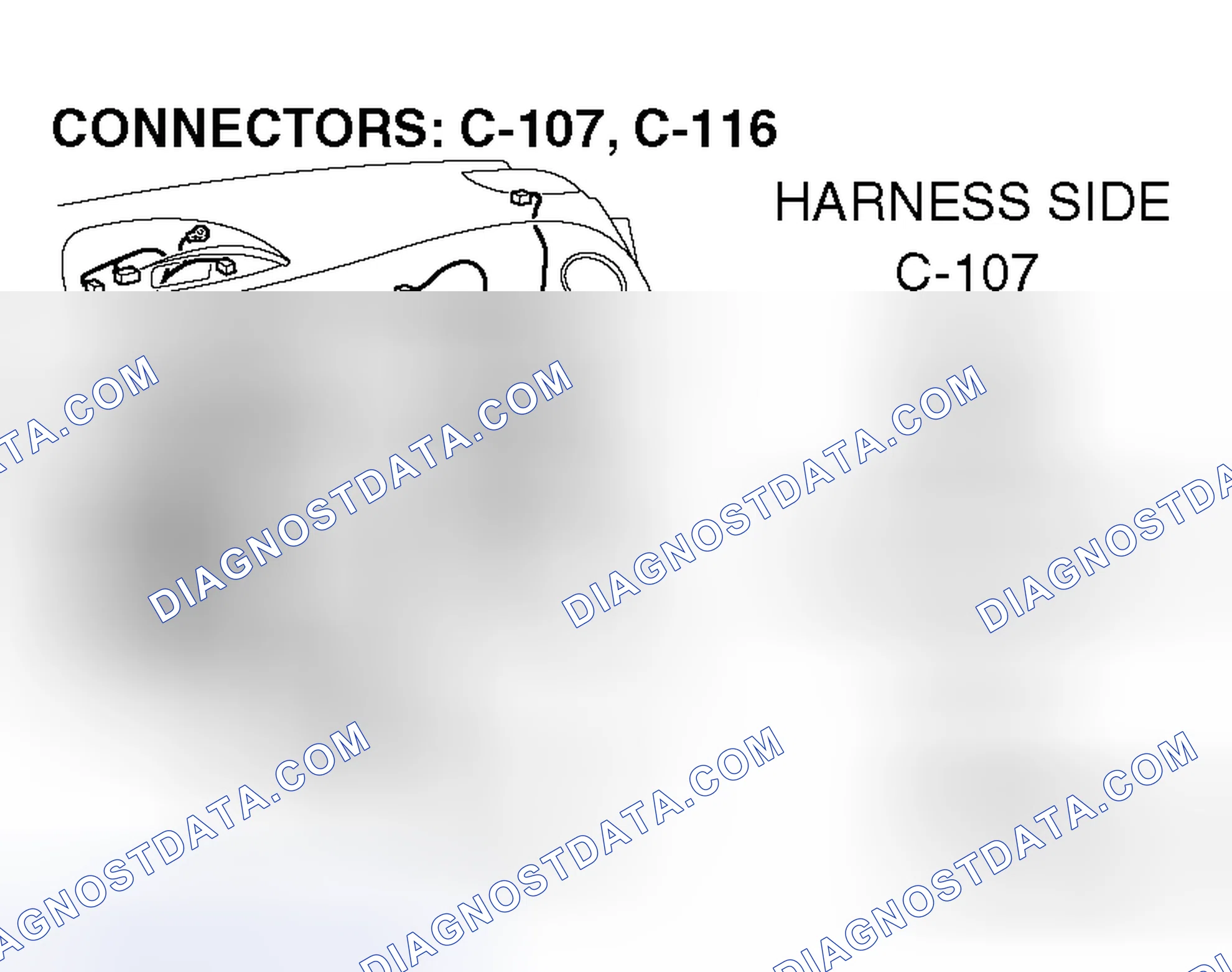 Scheme 318