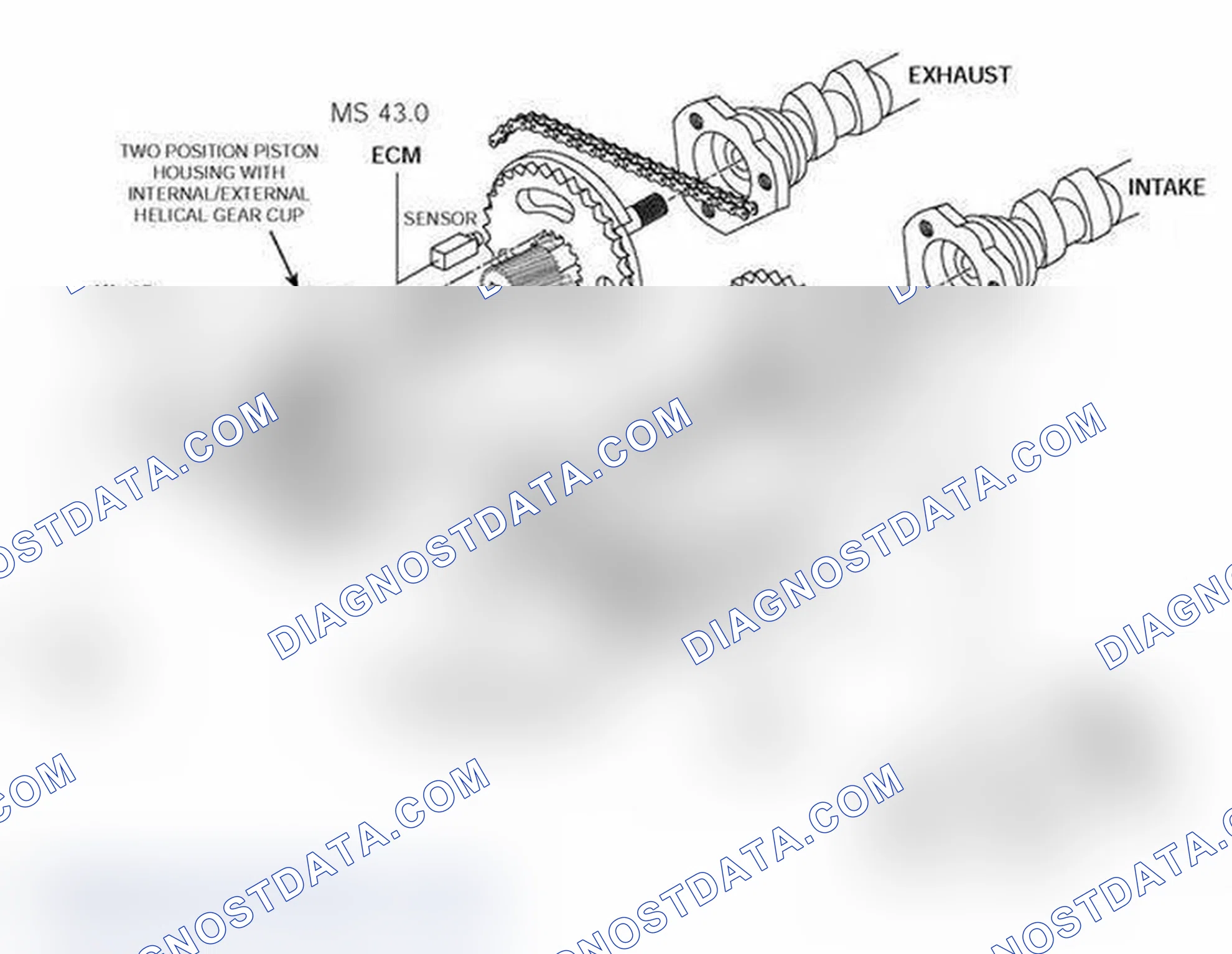 Scheme 550: Identifying Vanos Camshaft System Diagram