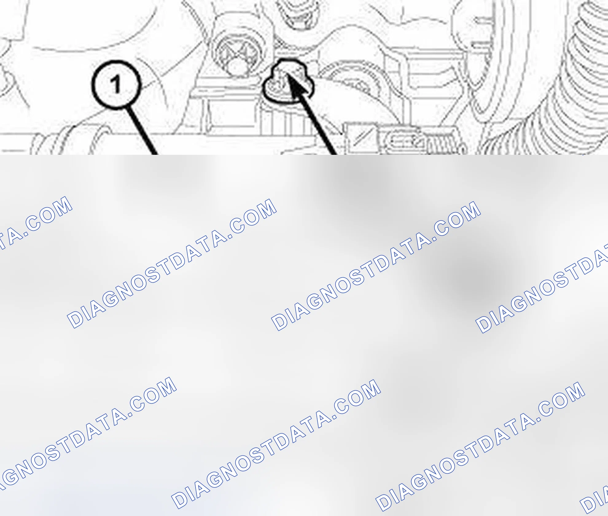 Scheme 557
