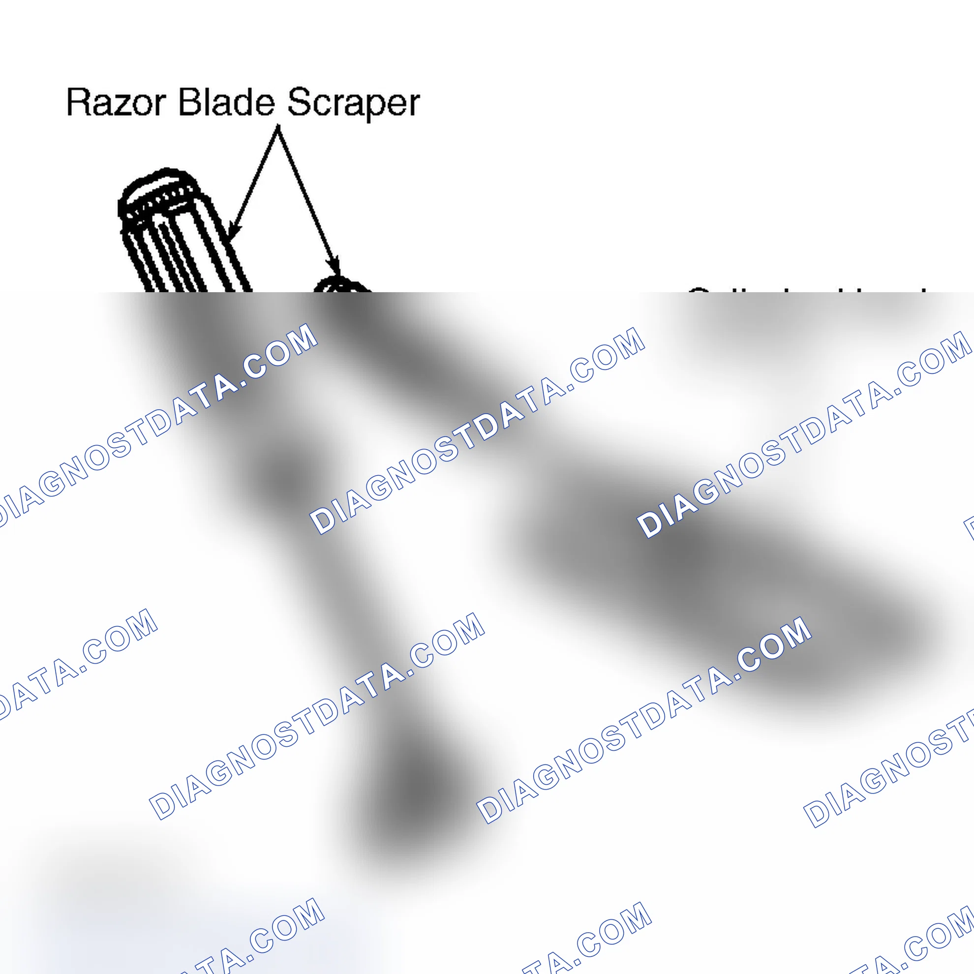 Scheme 12: Inspection