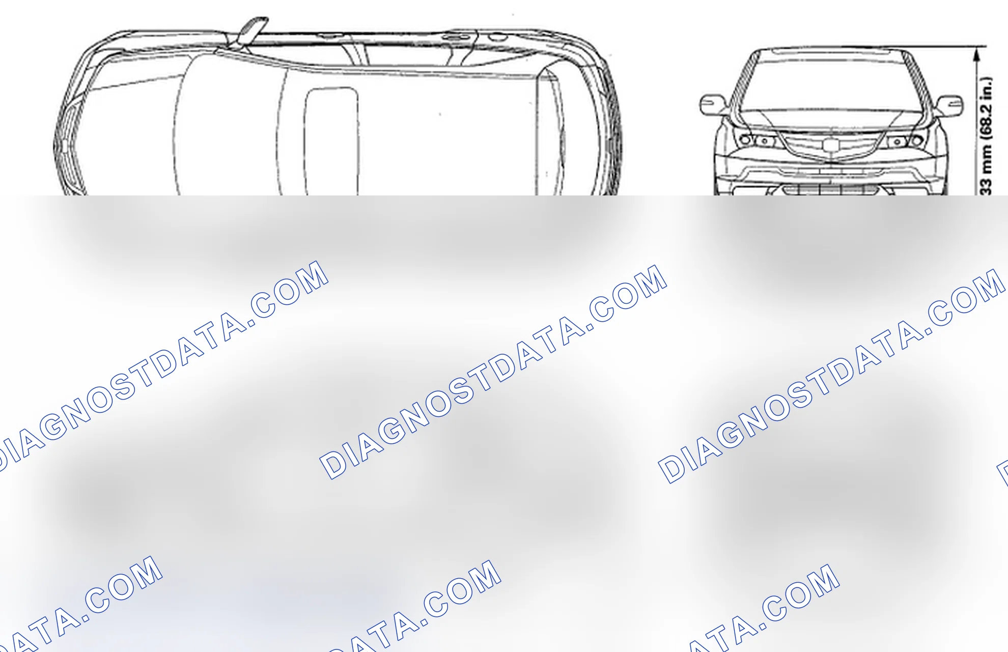 Scheme 79: Body Specifications