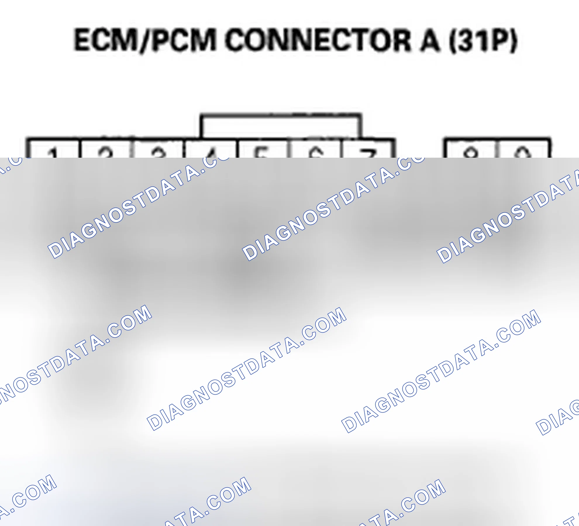 Scheme 384