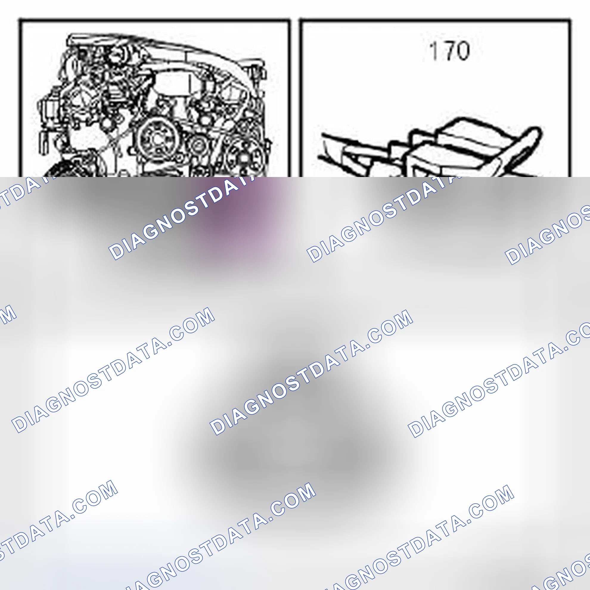 Scheme 338
