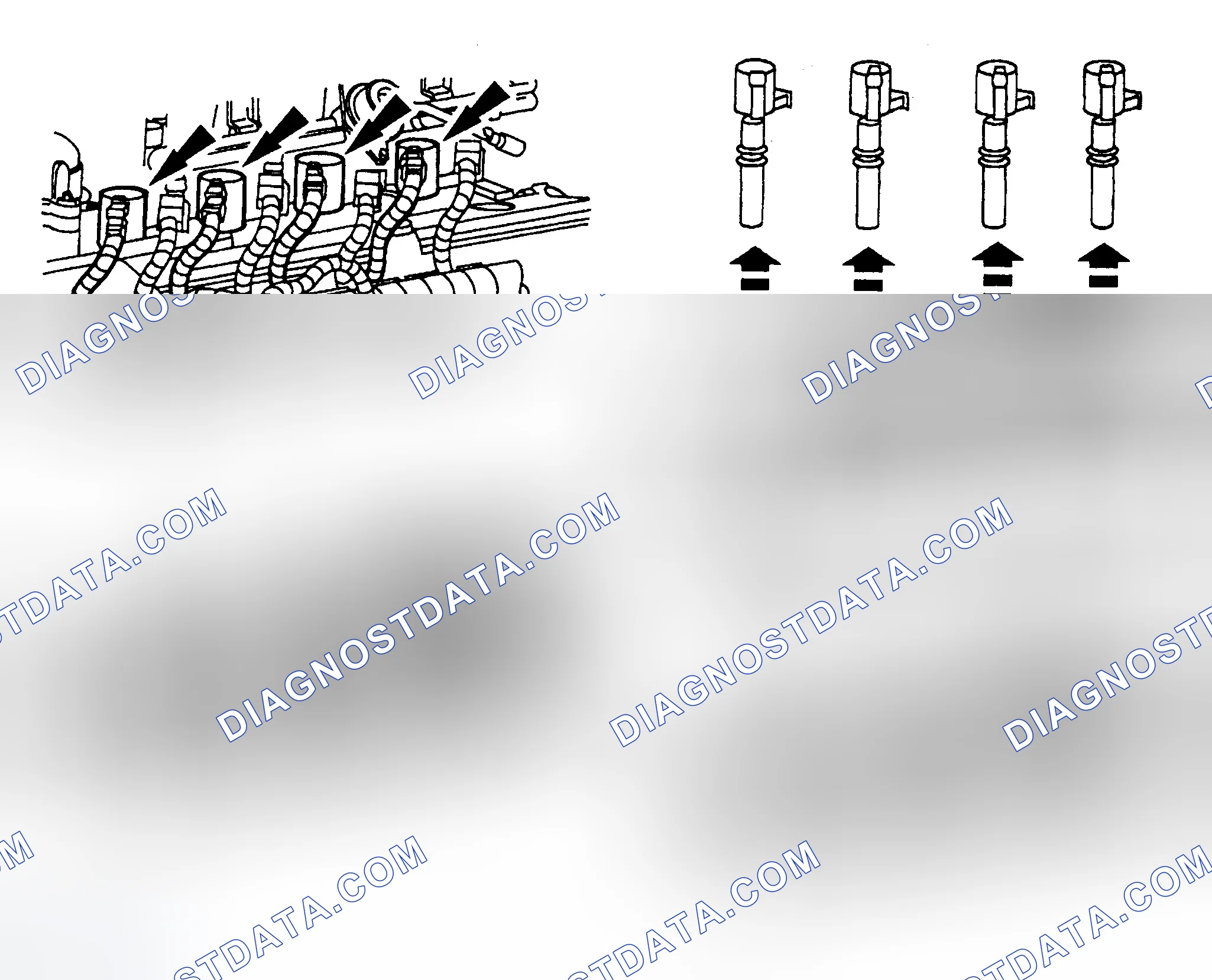 Scheme 4: Spark Plug Coils (4.6L Coil On Plug)