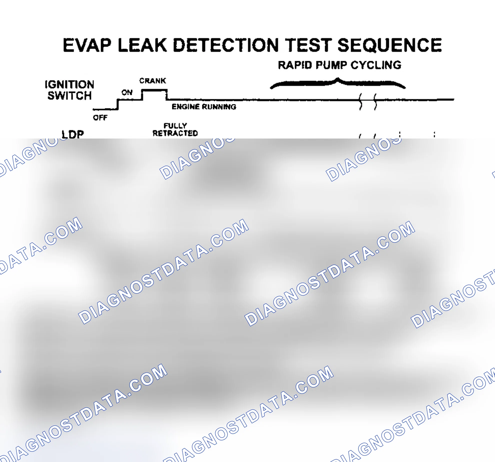 Scheme 48: Section 1 - P1495 Leak Detection Pump Solenoid Circuit