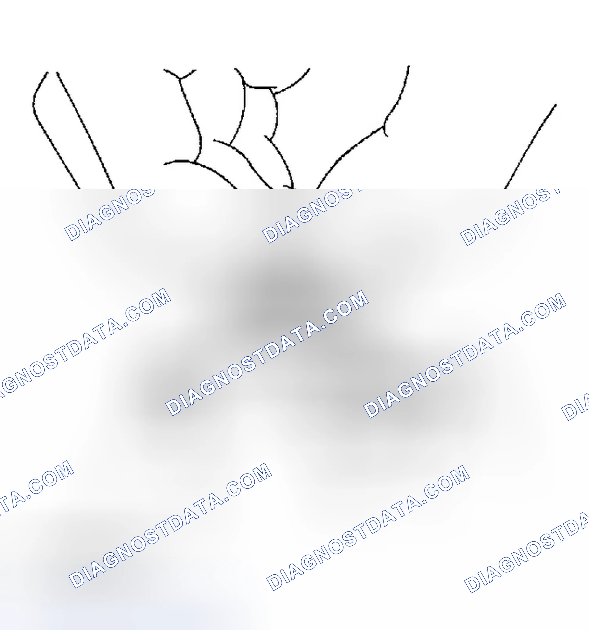 Scheme 30: CHECKING RADIATOR CAP