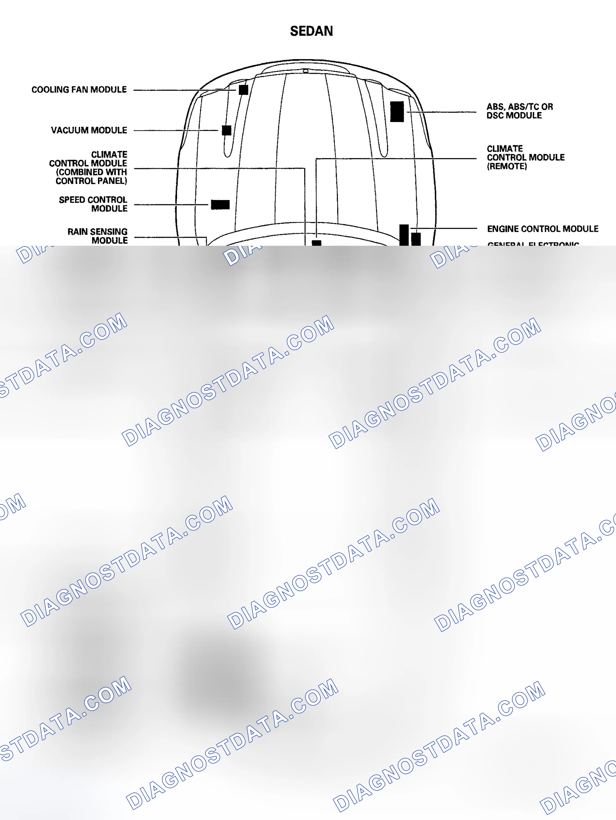 Scheme 5