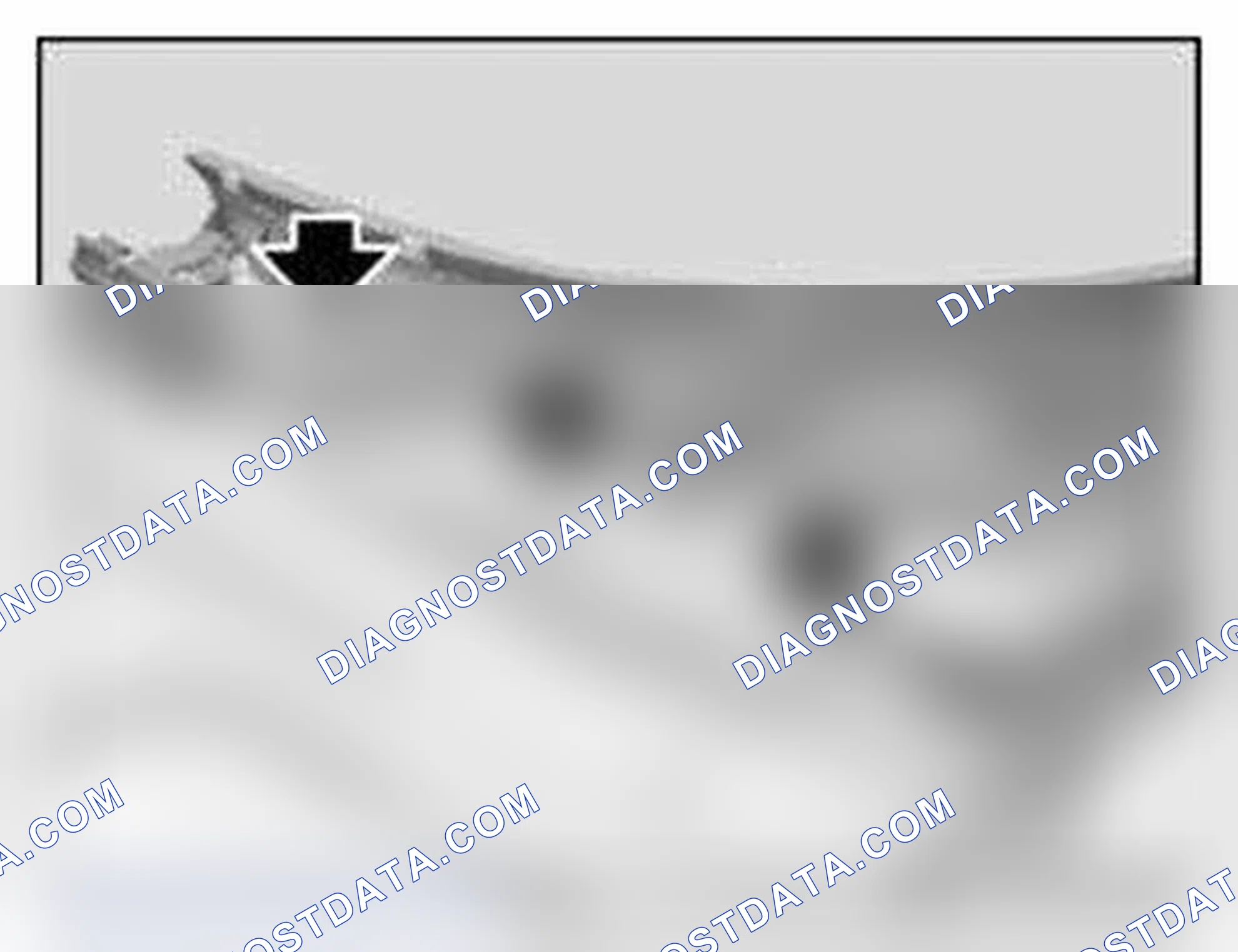 Scheme 142