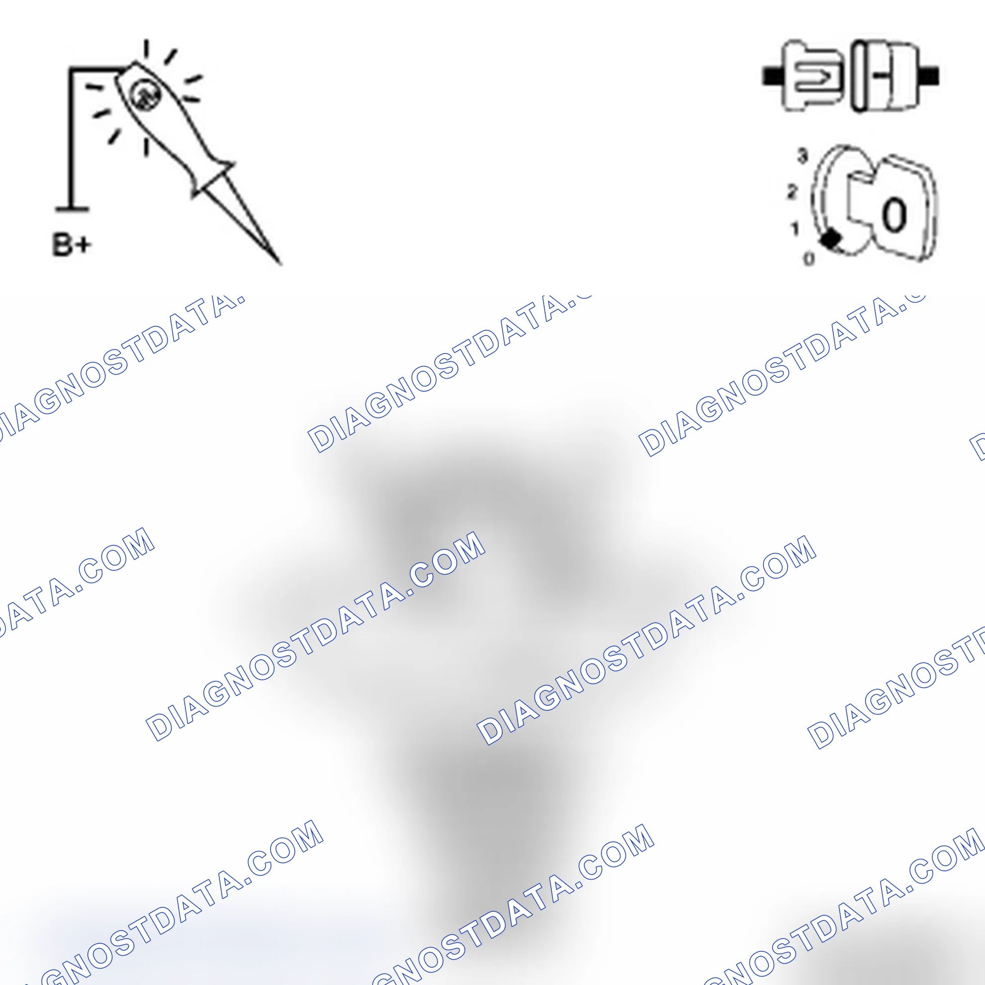 Scheme 43: Diagnostic Test