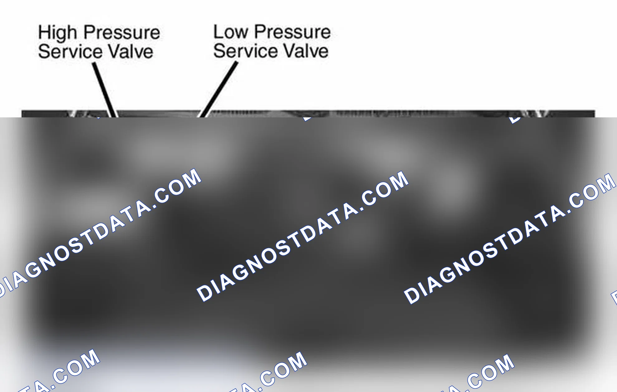 Scheme 48