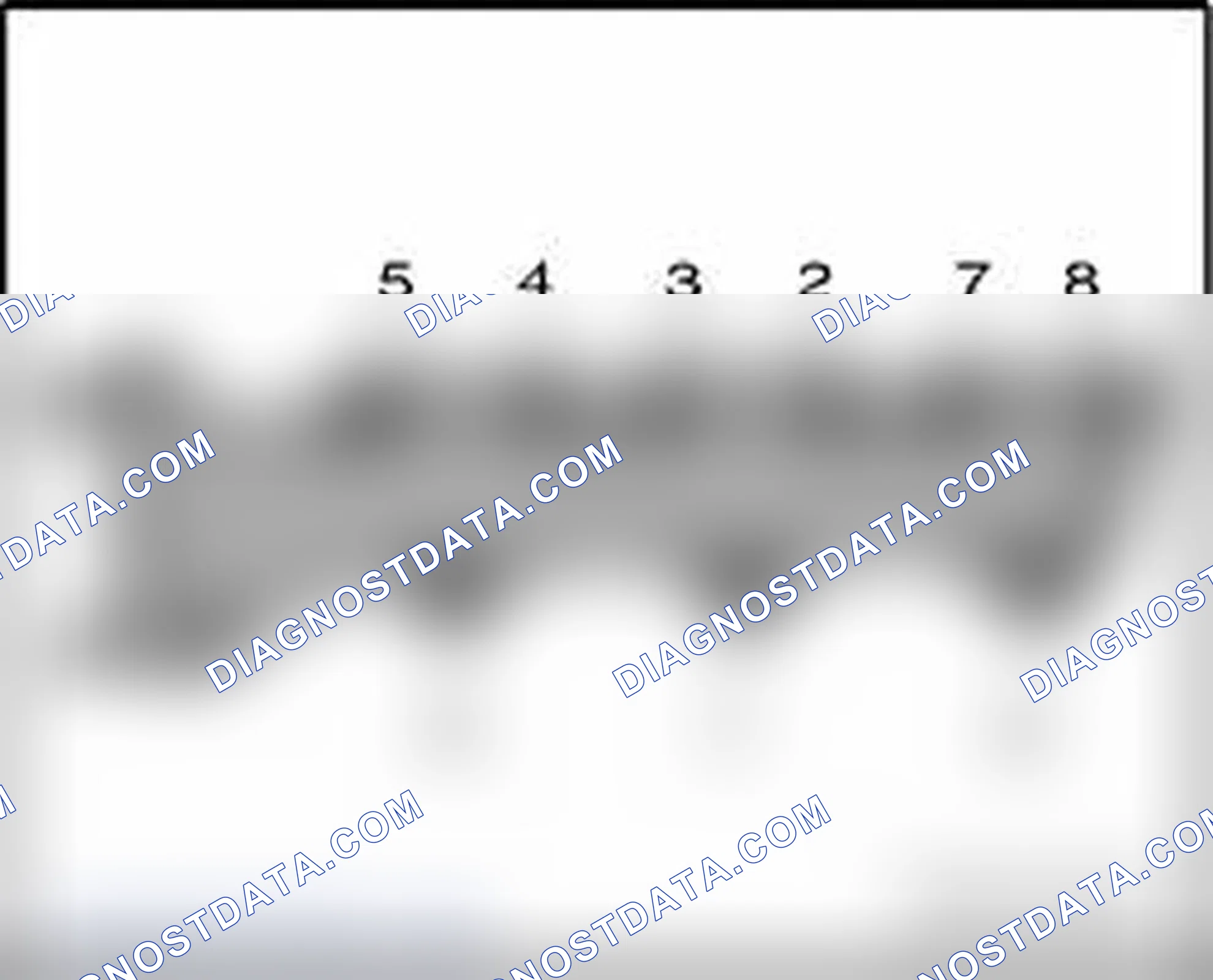 Scheme 334