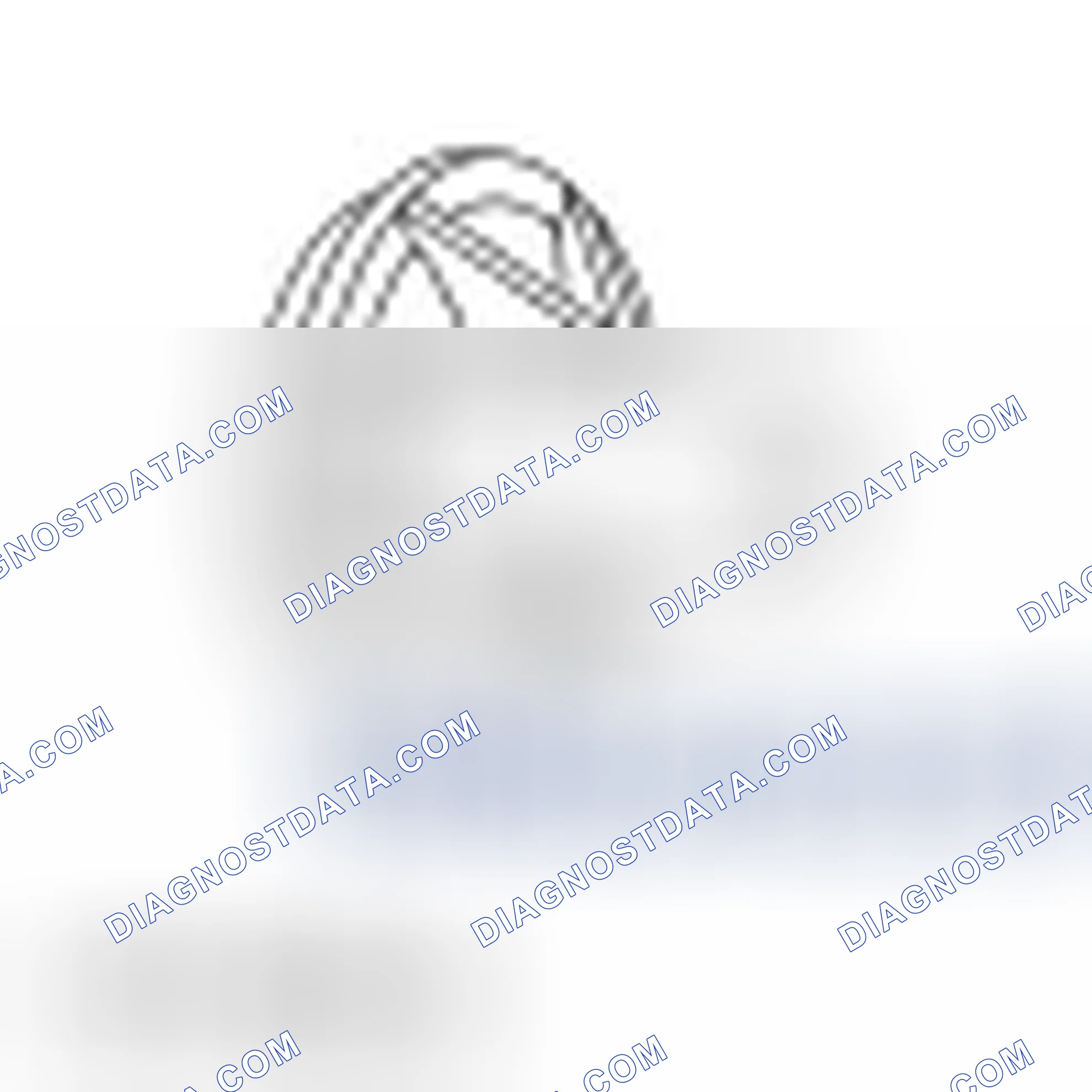 Scheme 49: Crankshaft Rear Seal