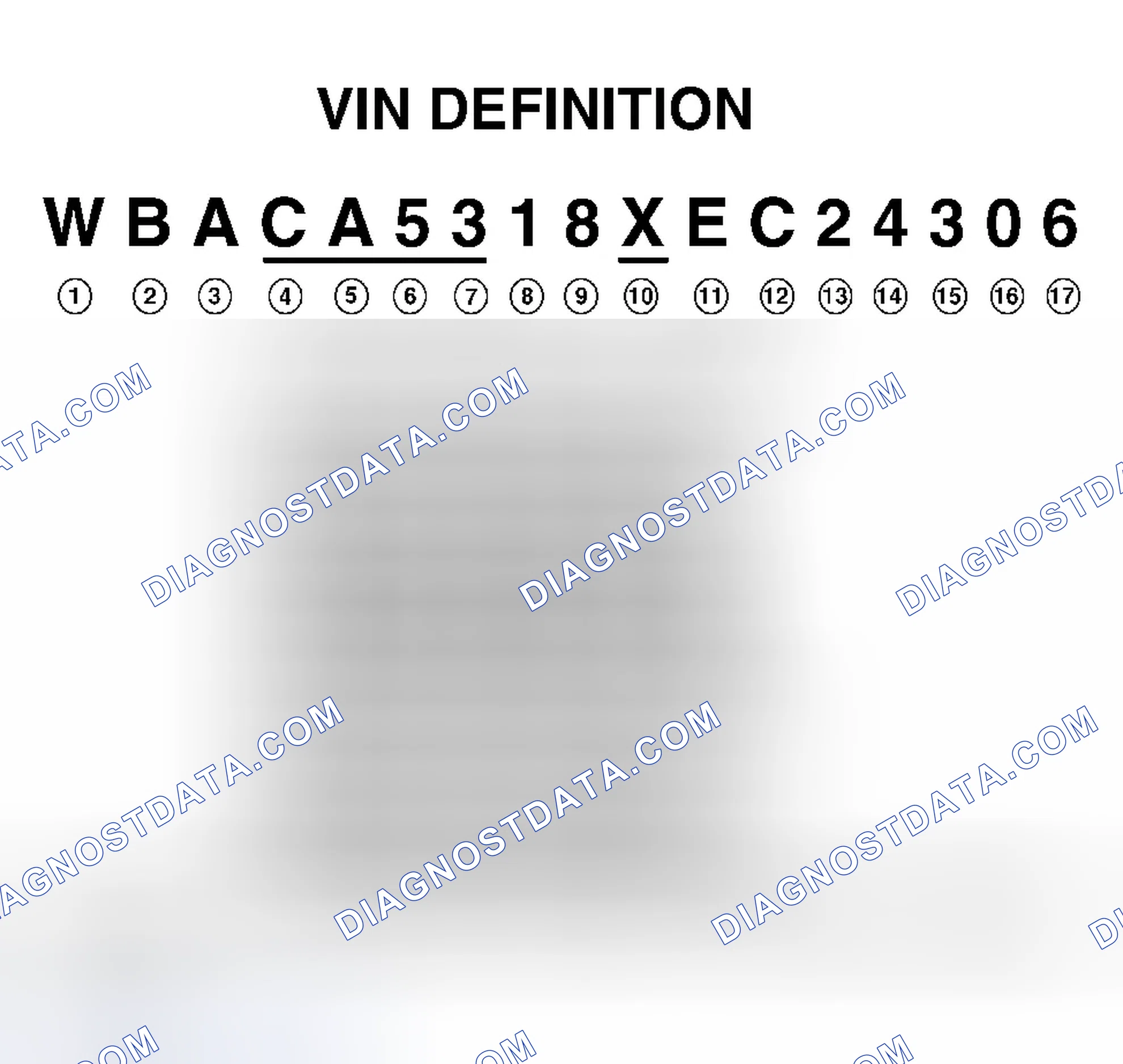Scheme 12: VIN Definition