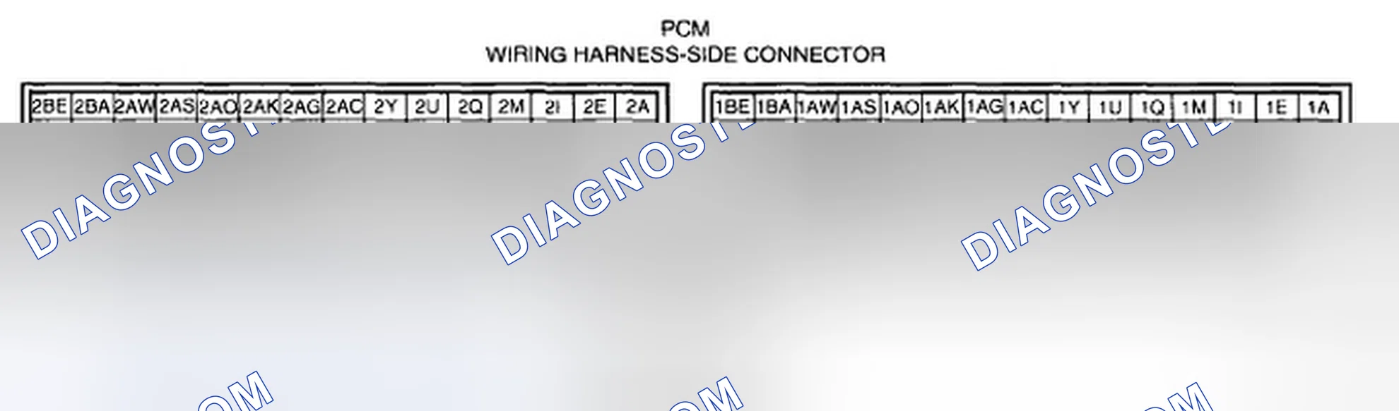 Scheme 333
