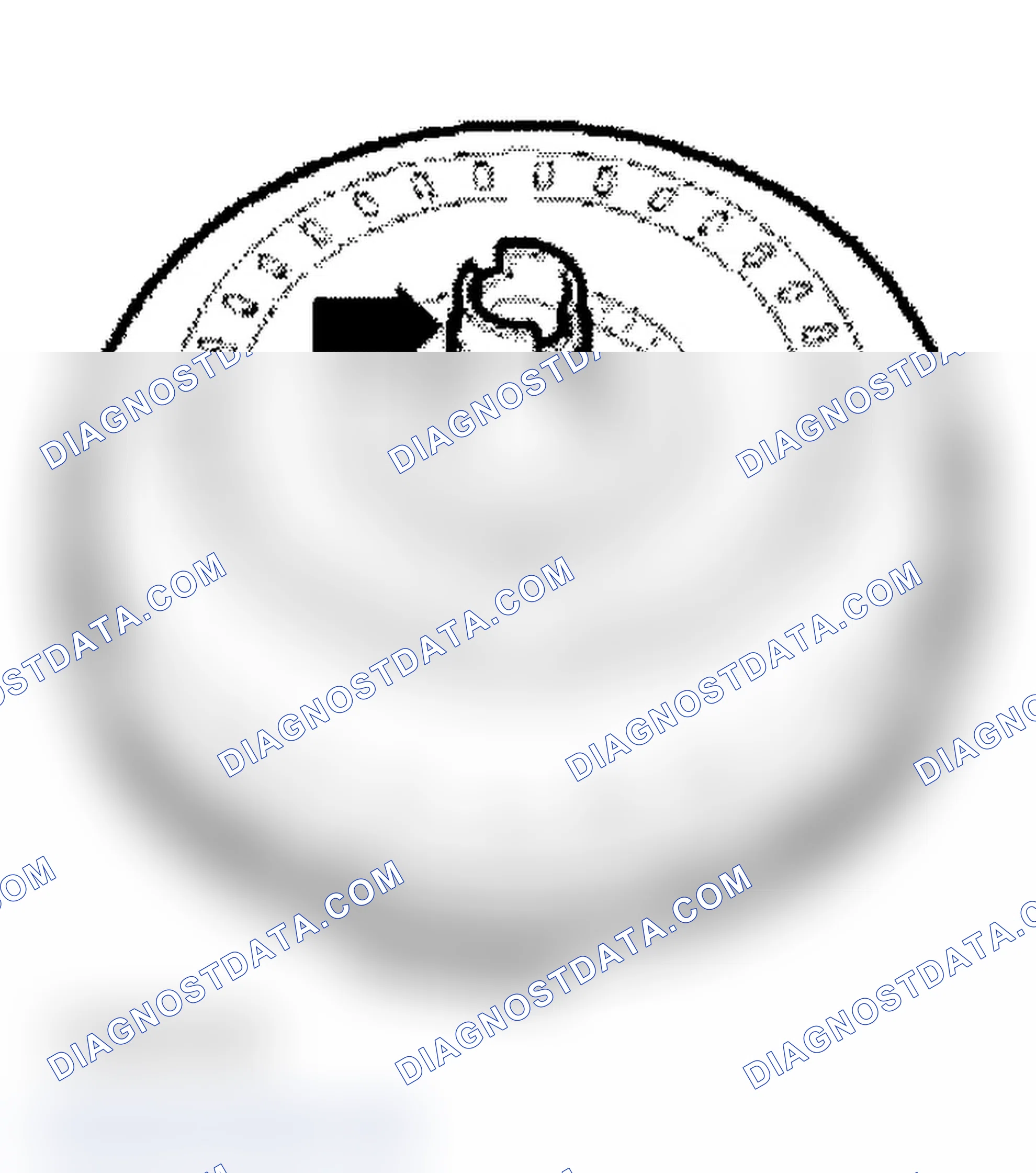 Scheme 212: TORQUE CONVERTER, CHECKING