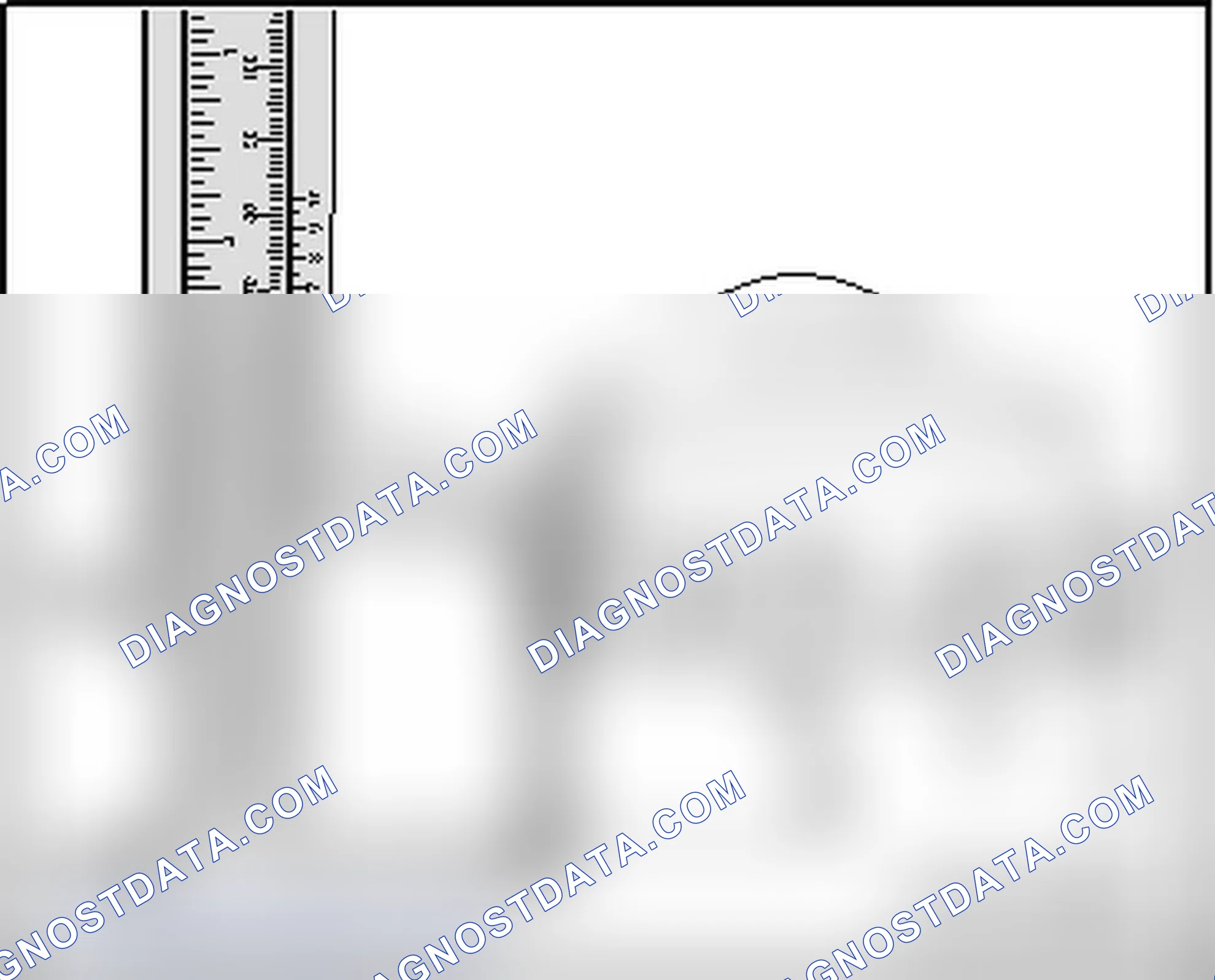 Scheme 121