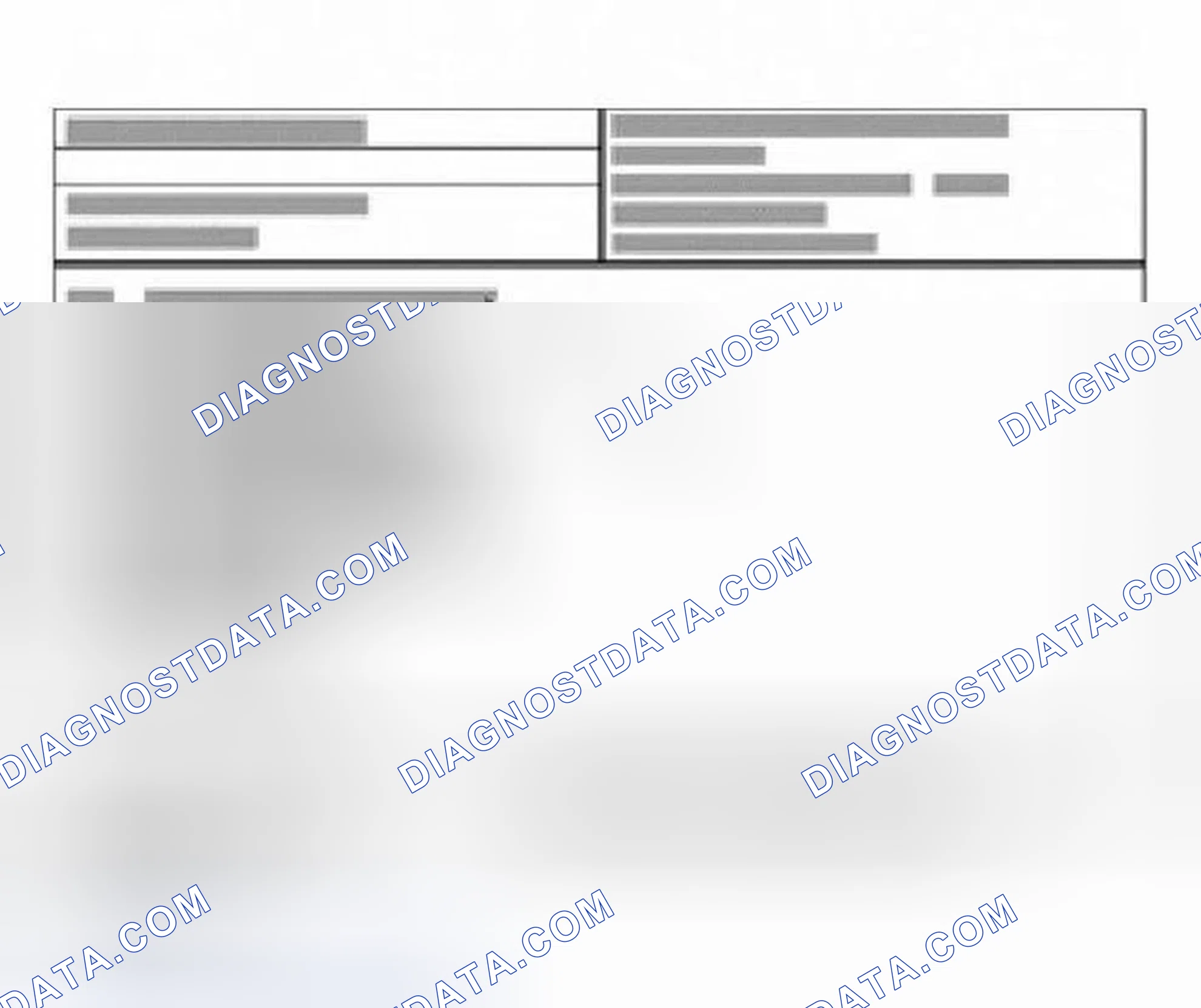 Scheme 335