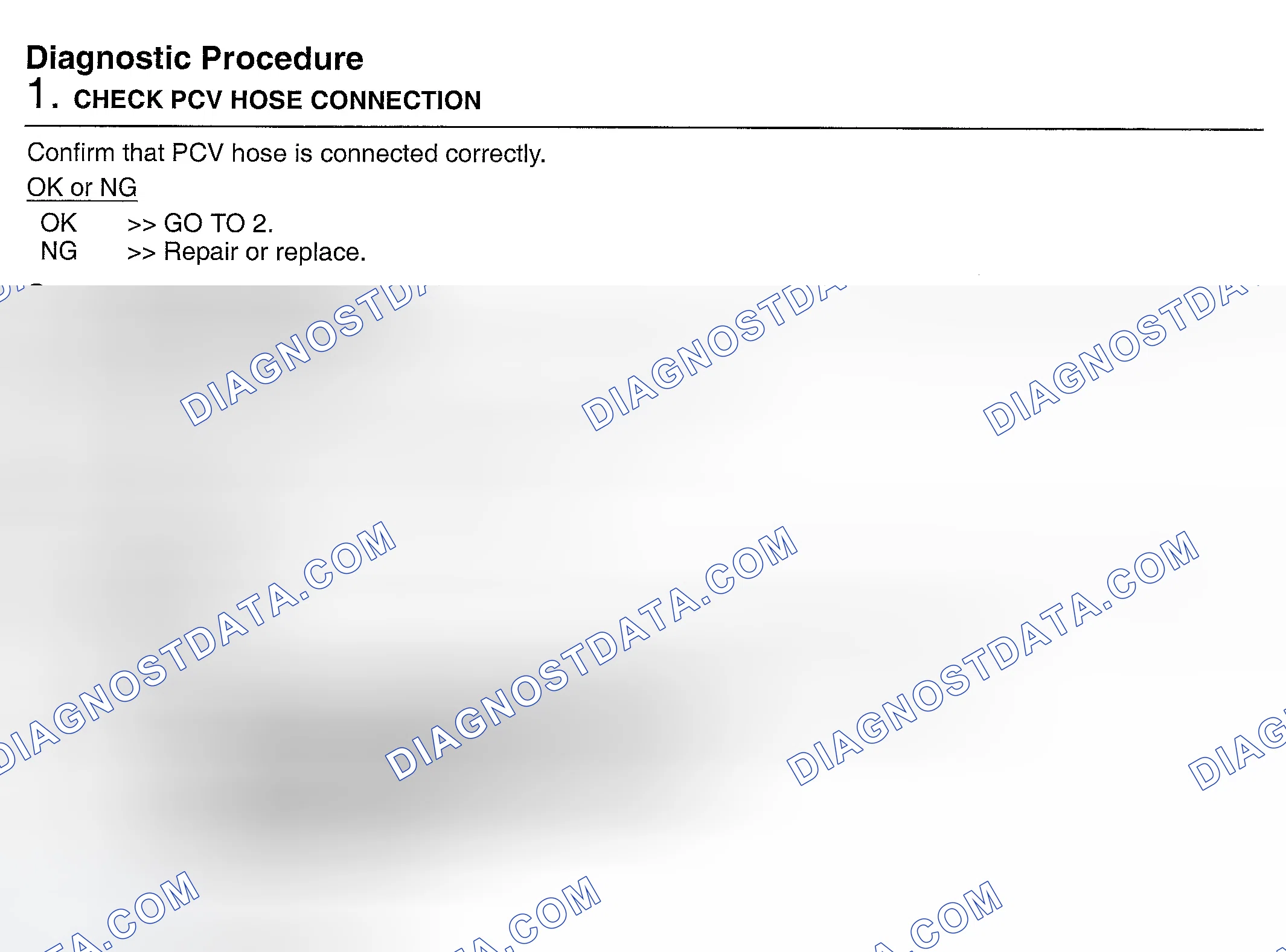 Scheme 480: Diagnostic Procedure