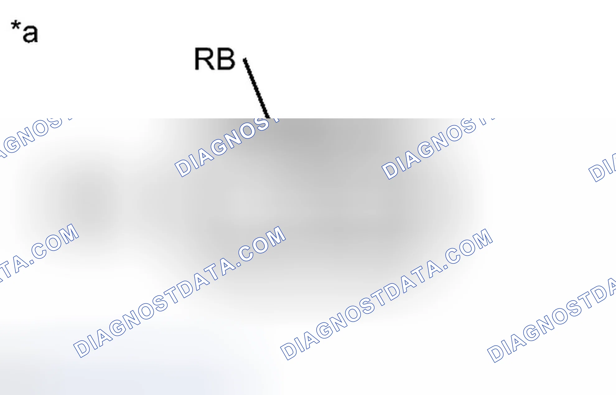Scheme 409: PROCEDURE