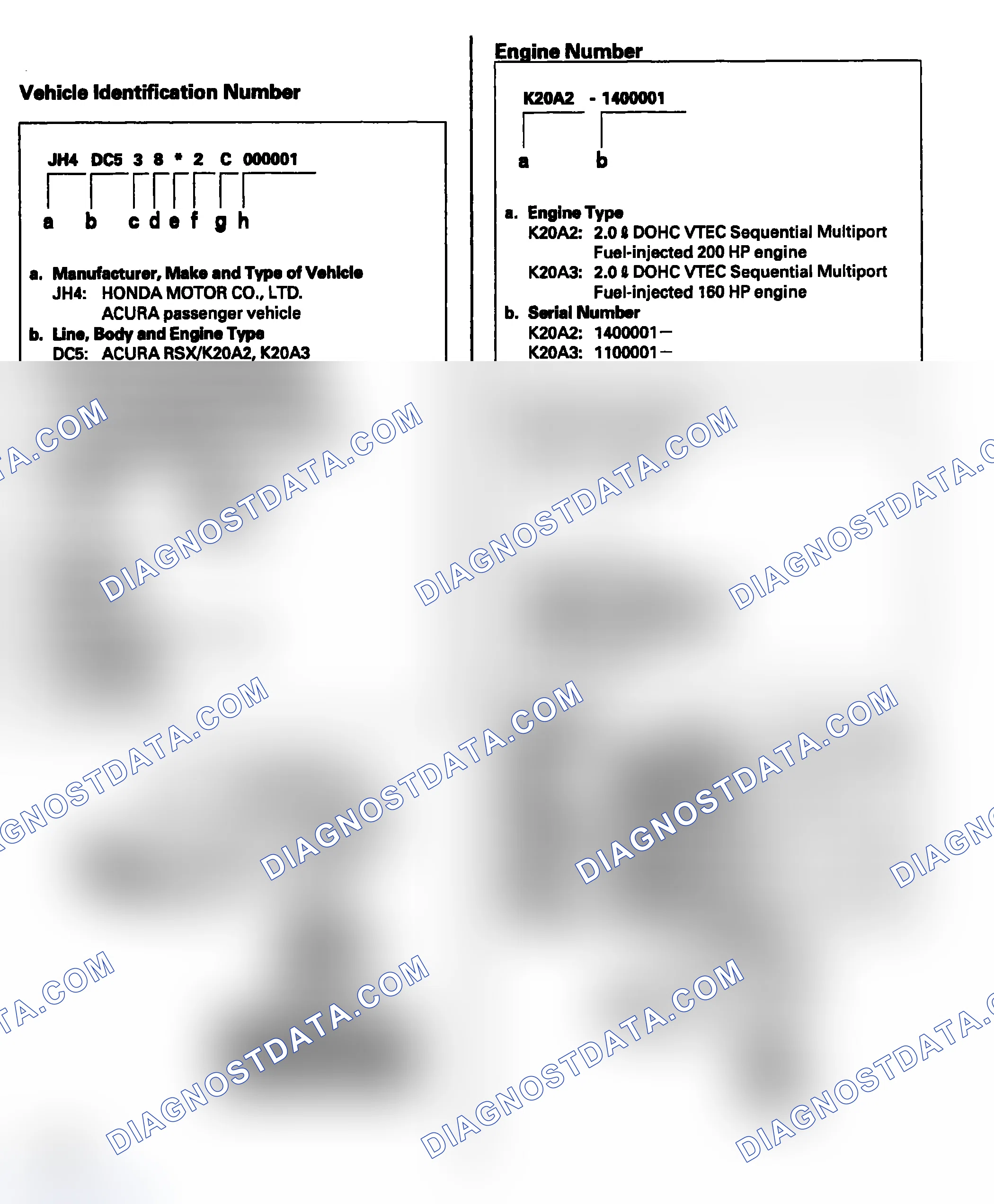 Scheme 1: Chassis & Paint Codes