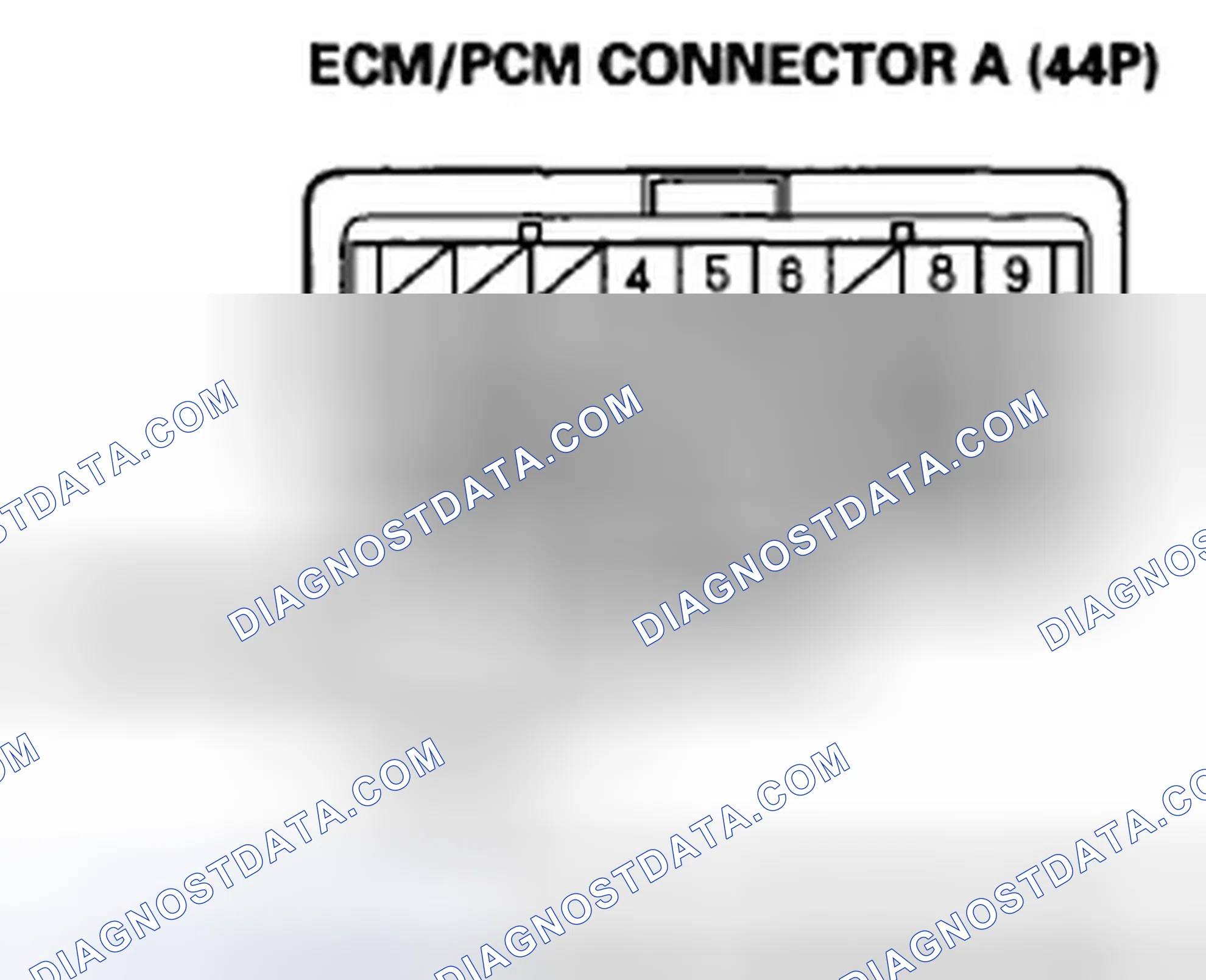Scheme 873