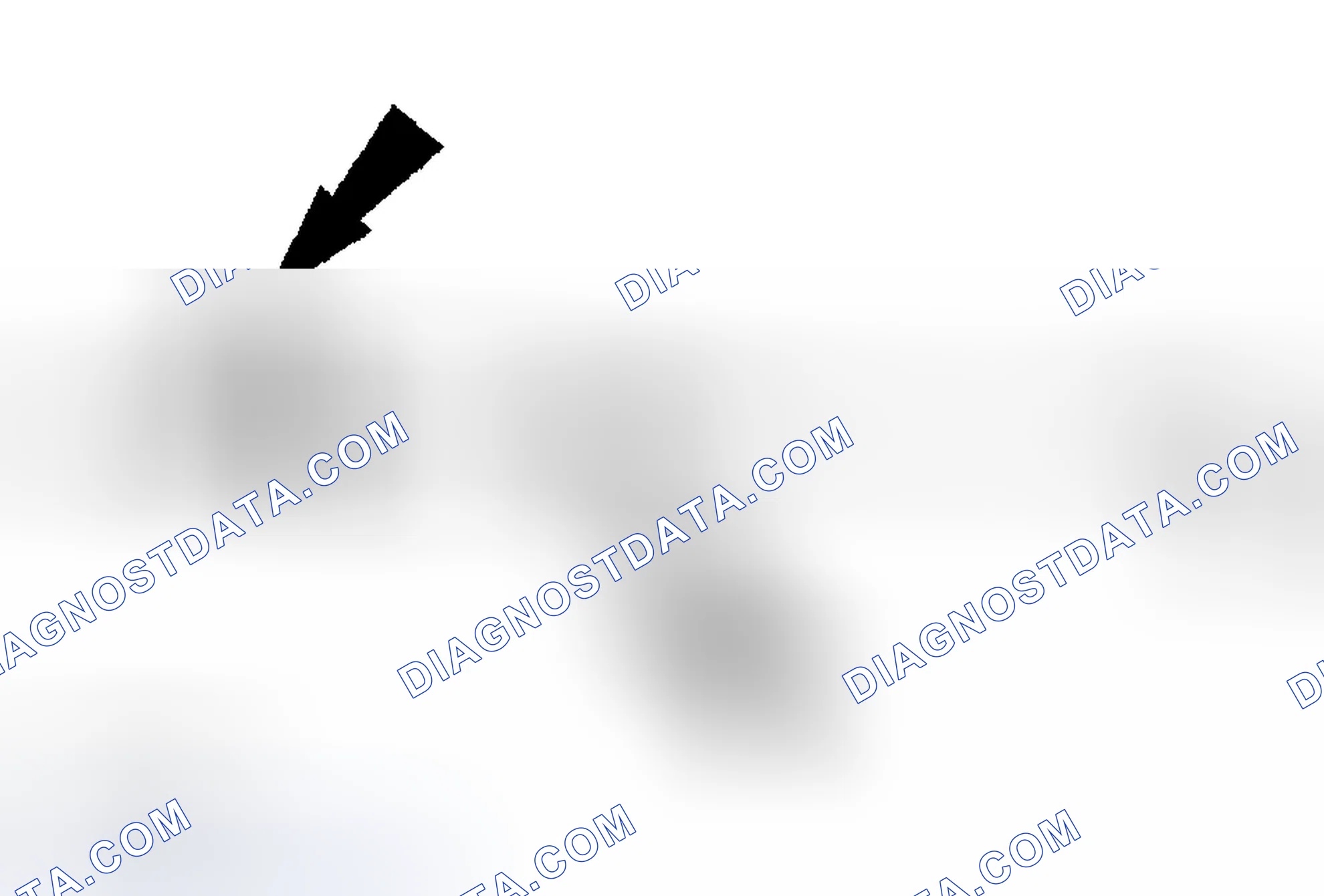 Scheme 226: Fluorescent Dye Injection - Using a Dye Injector Loop Kit