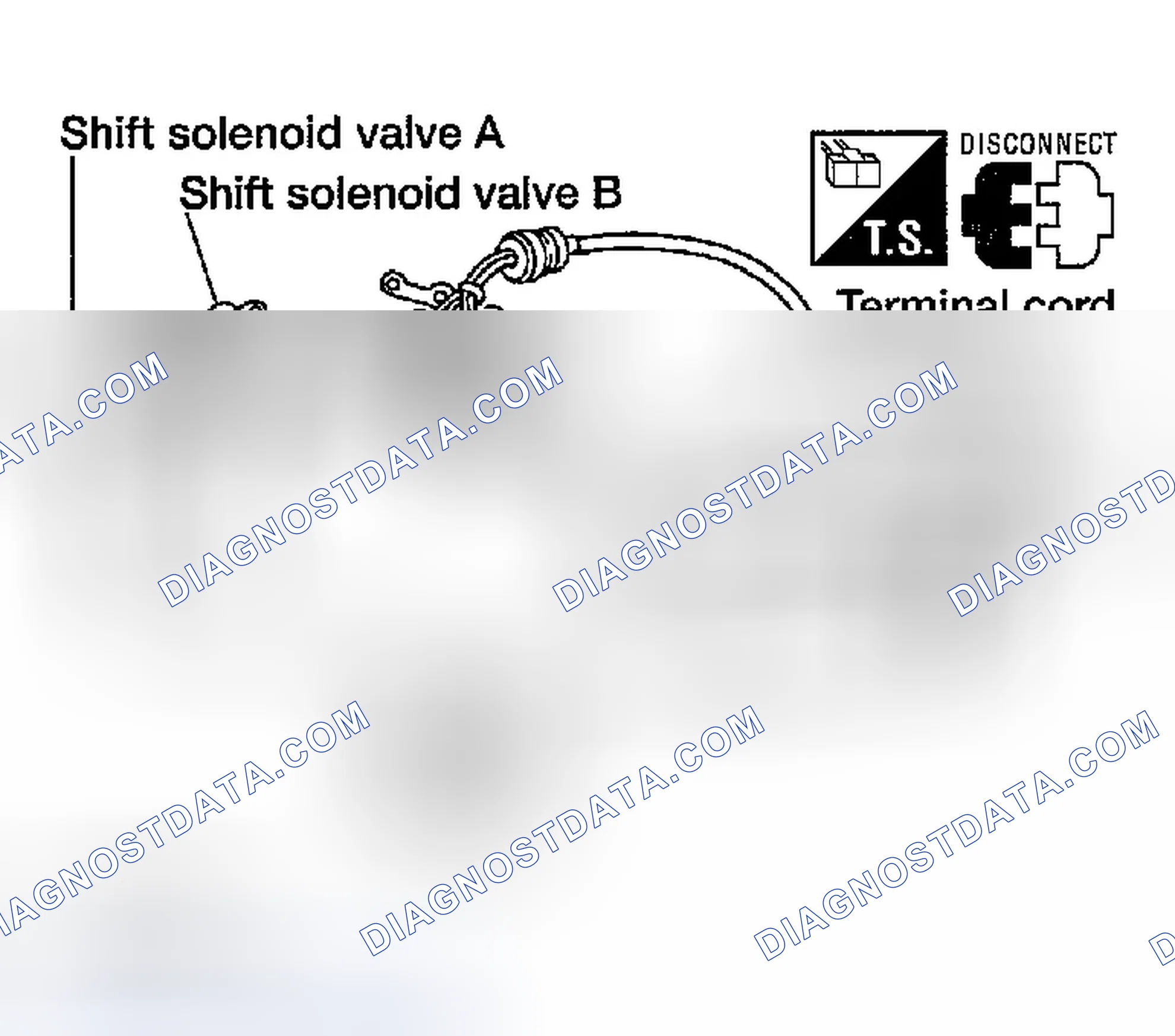 Scheme 558