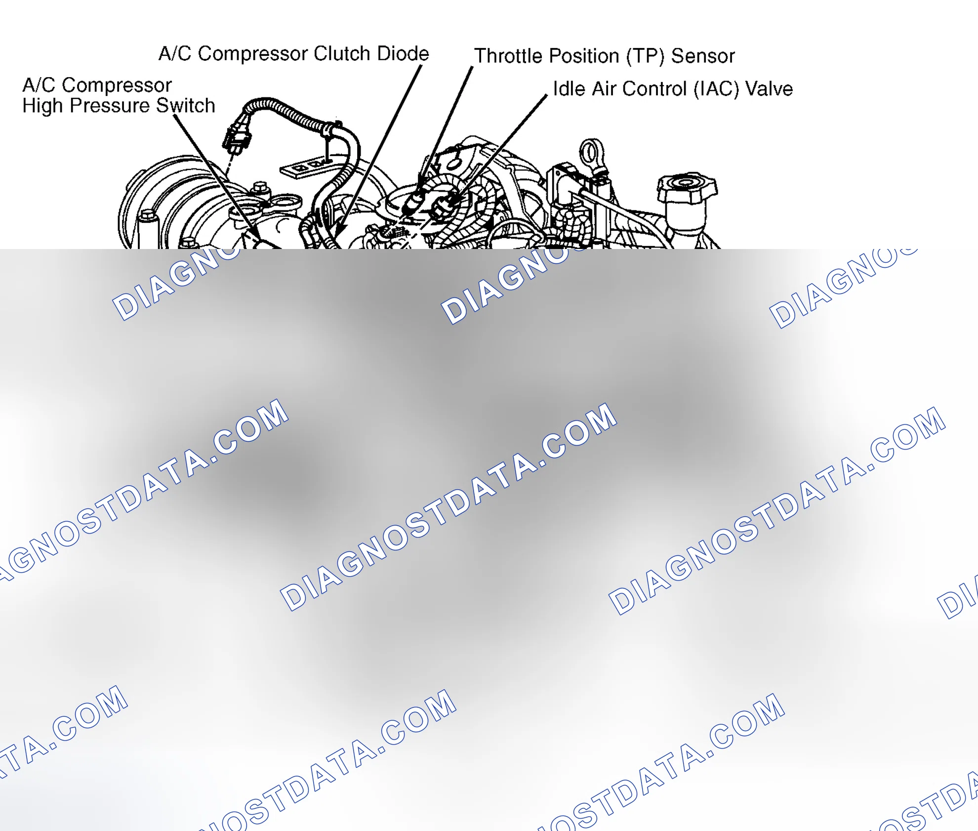 Scheme 5: Top Left Rear Of Engine (4.3L VIN W & VIN X)