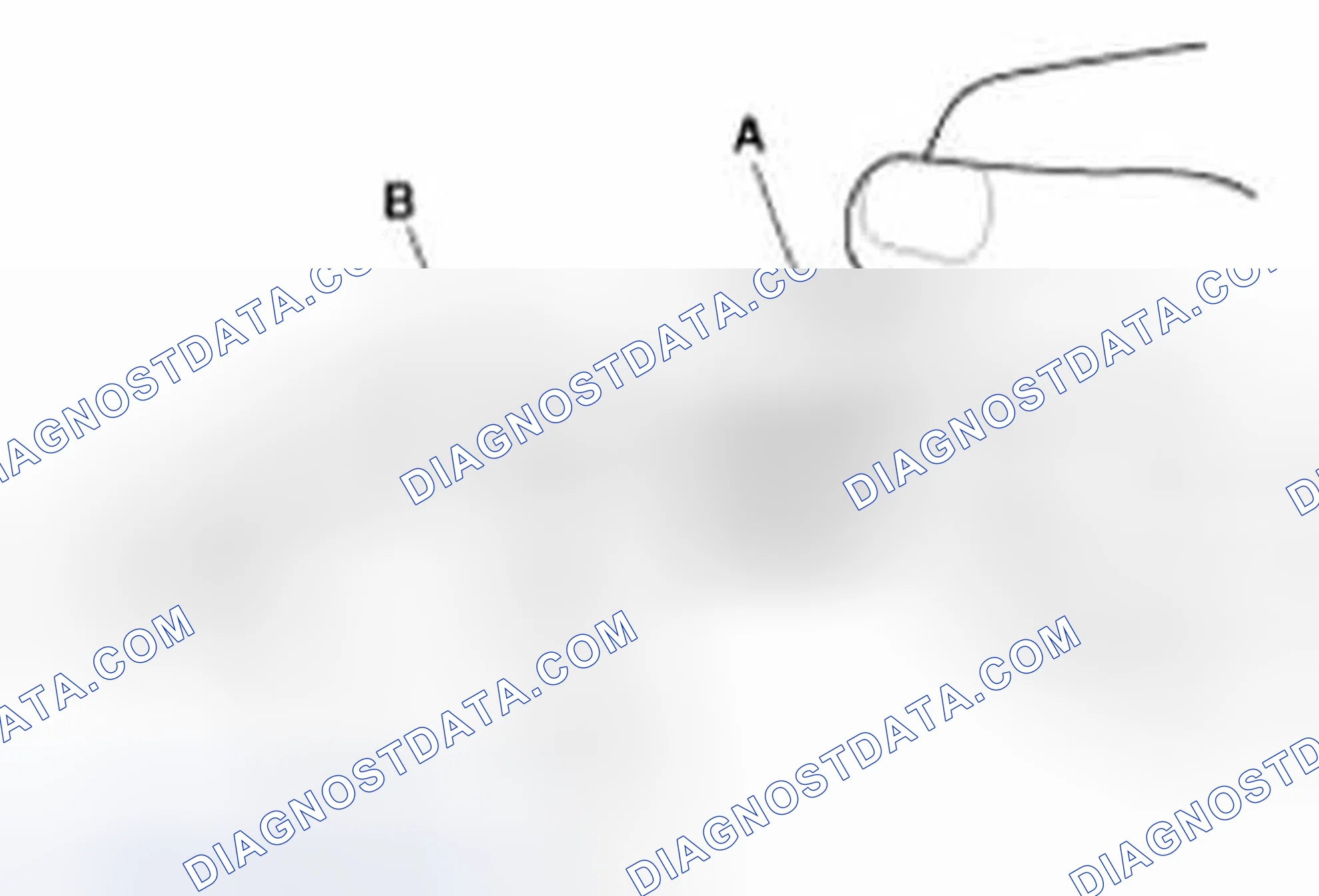 Scheme 133