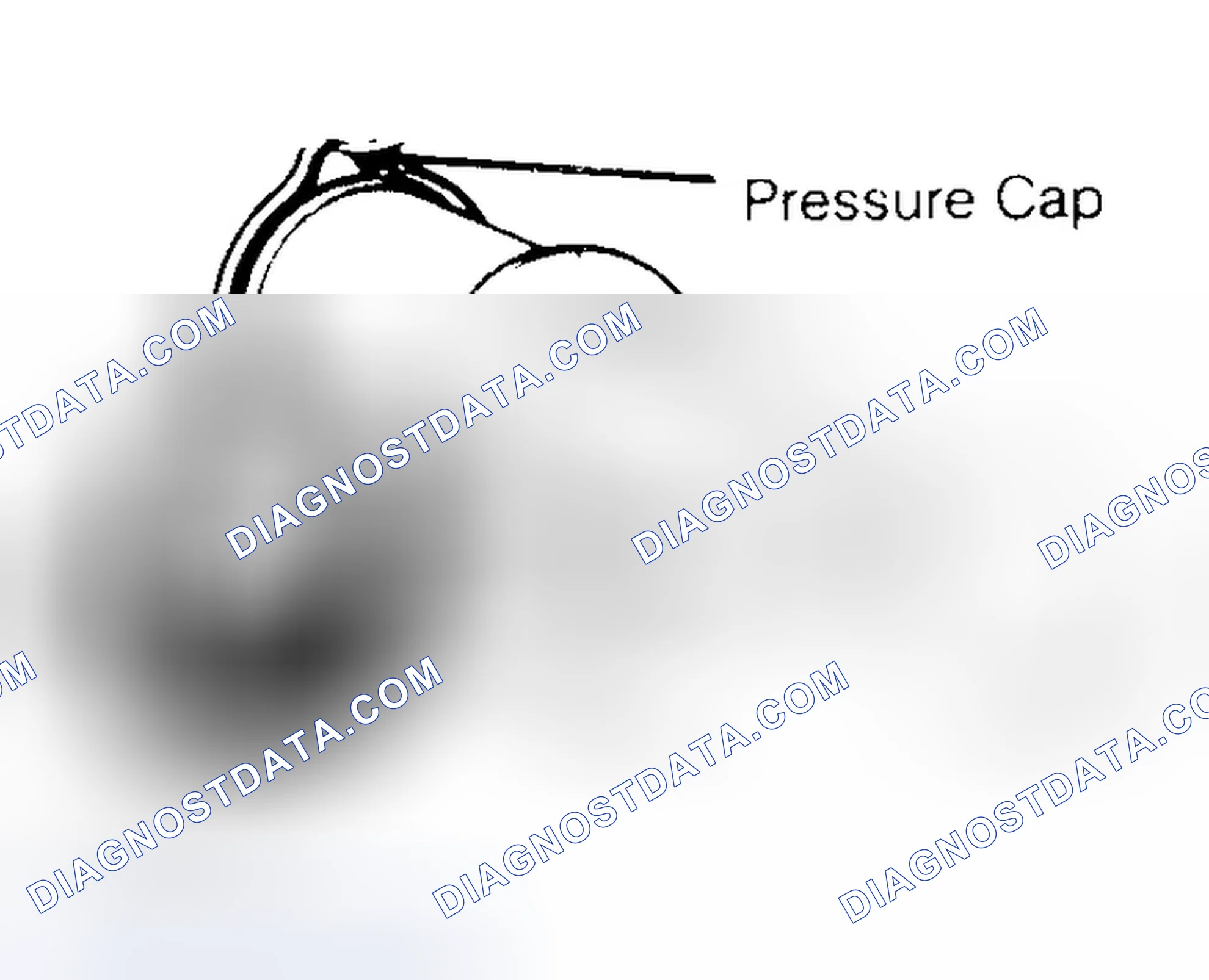 Scheme 2: Pressure Testing Radiator Cap