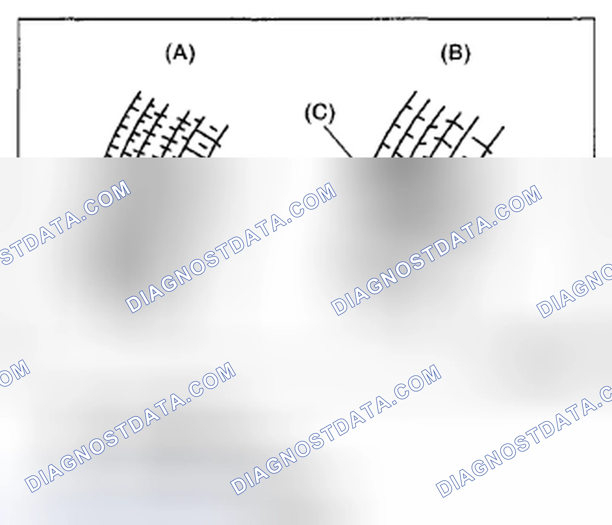 Scheme 211: INSPECTION