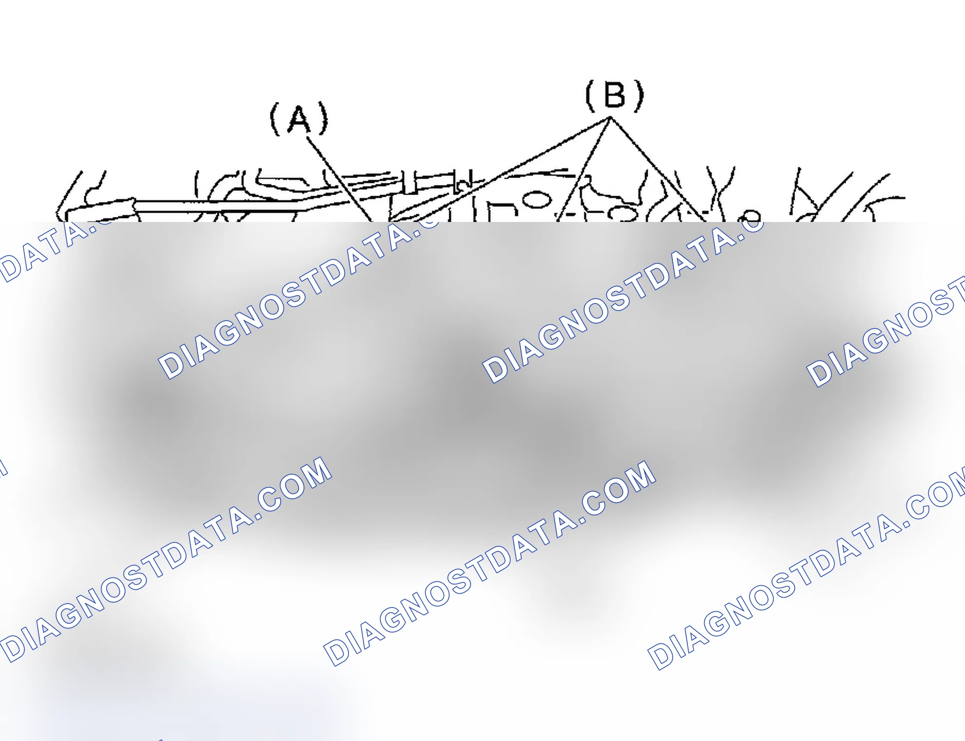 Scheme 339