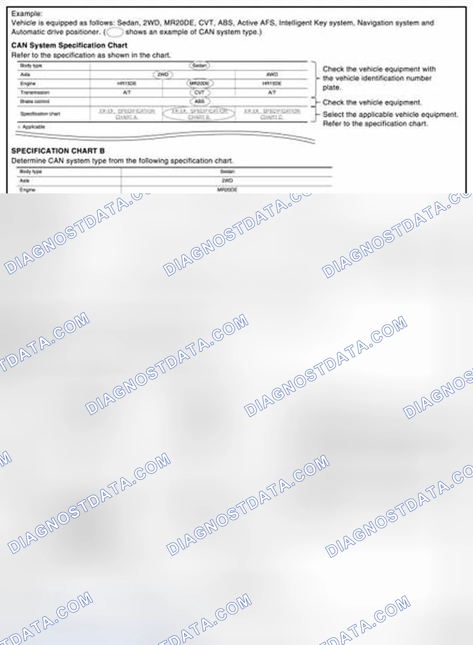 Scheme 2: CAN System Type Specification Chart (Style B)