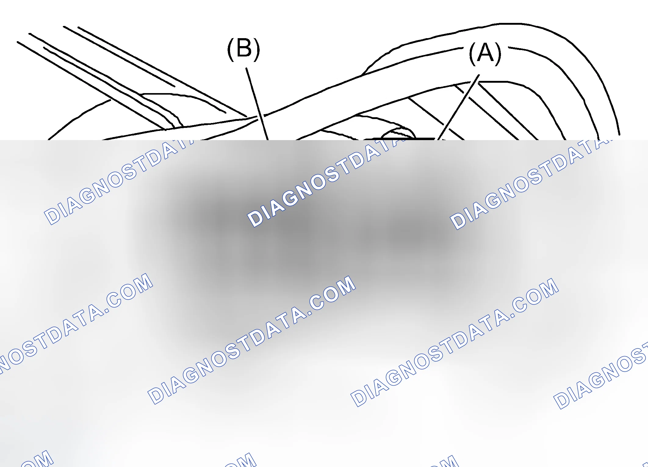 Scheme 323