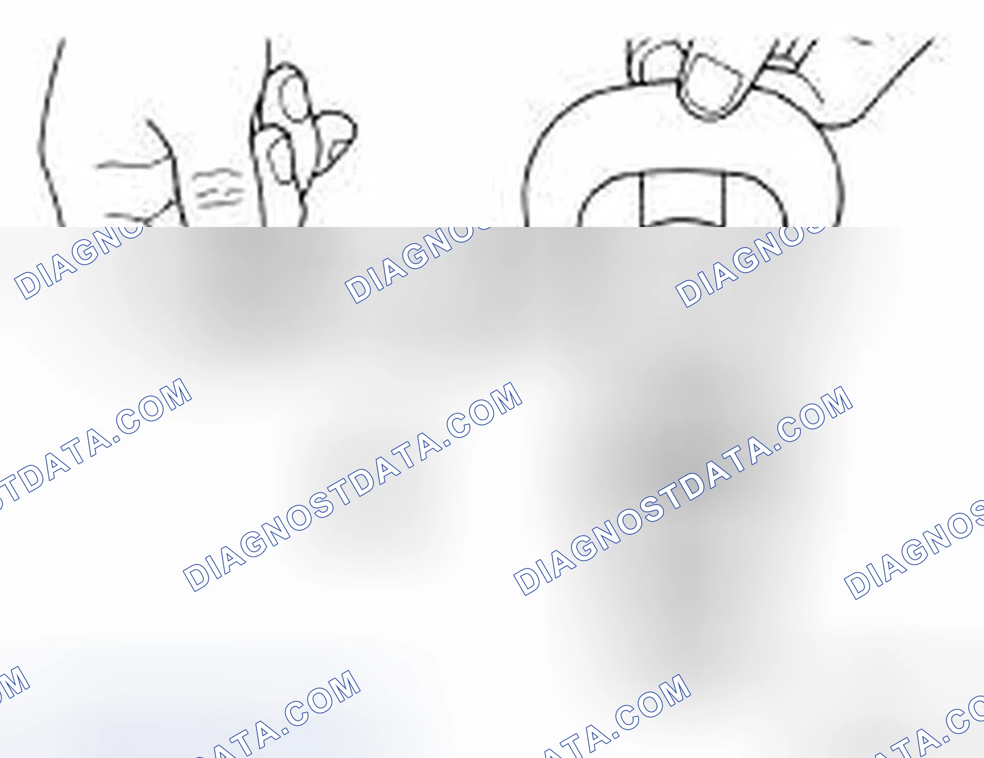 Scheme 28: Camshaft Cam Height