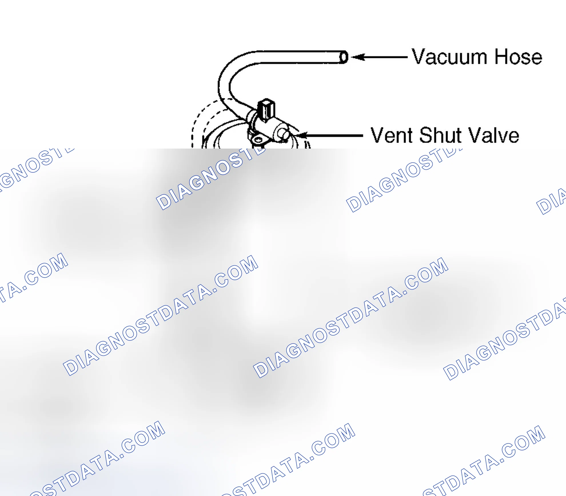 Scheme 29: DTC P1456 & DTC P1457 - EVAP SYSTEM LEAK DETECTED