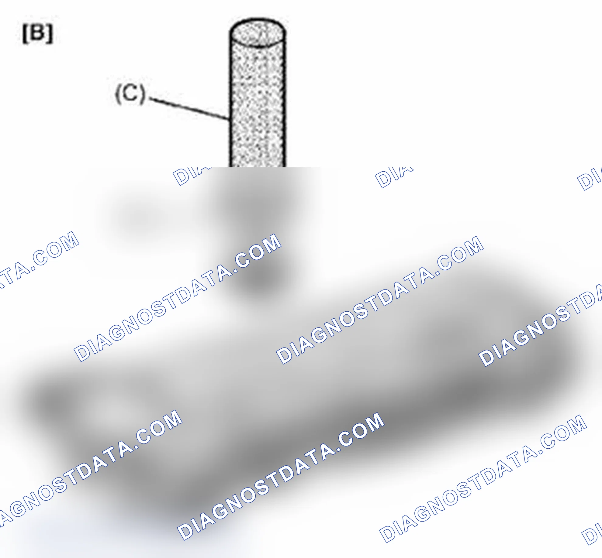 Scheme 253