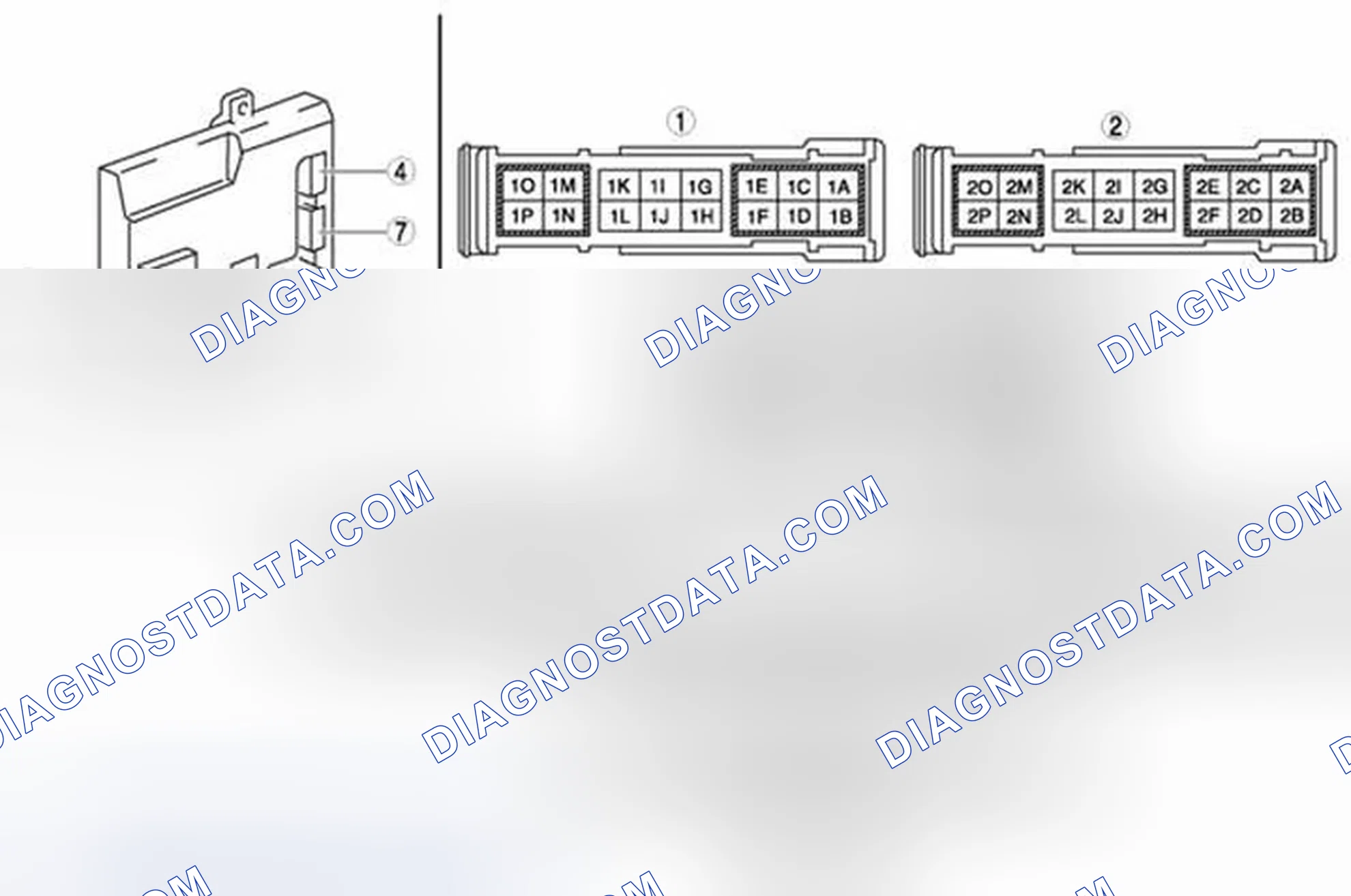 Scheme 35: Identifying BCM Connectors Terminals