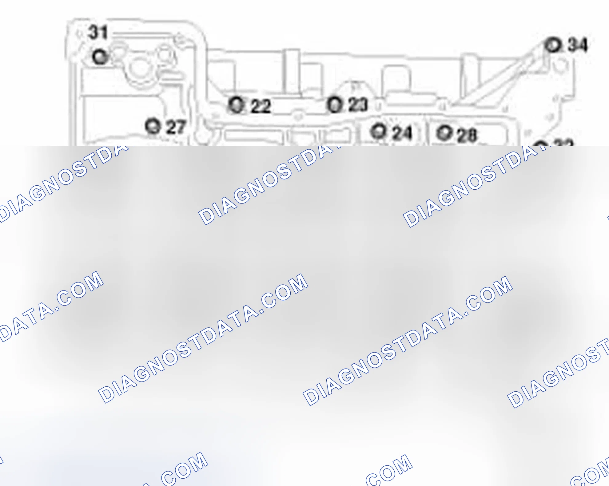 Scheme 335