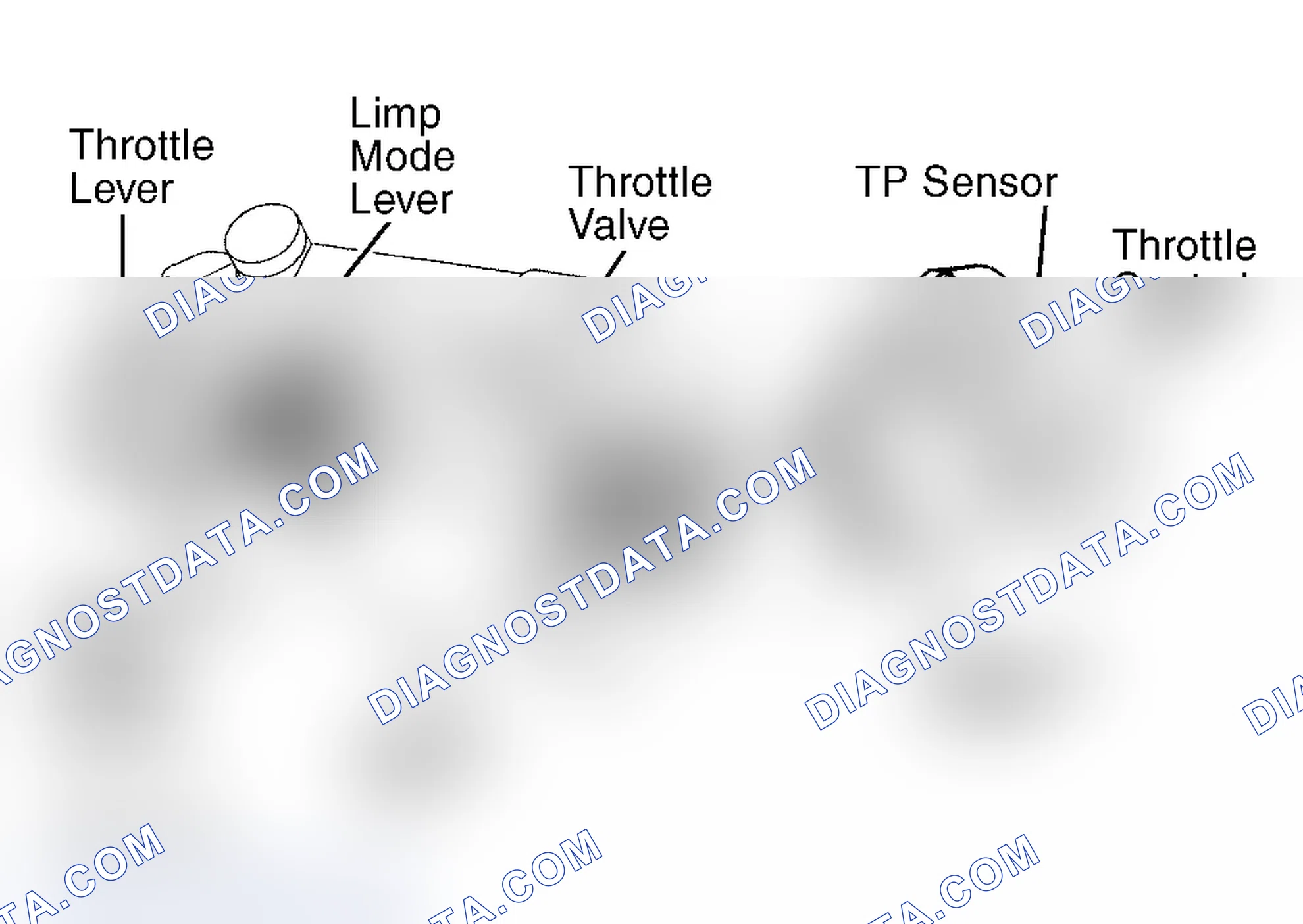 Scheme 162: Land Cruiser & Tundra 4.7L V8