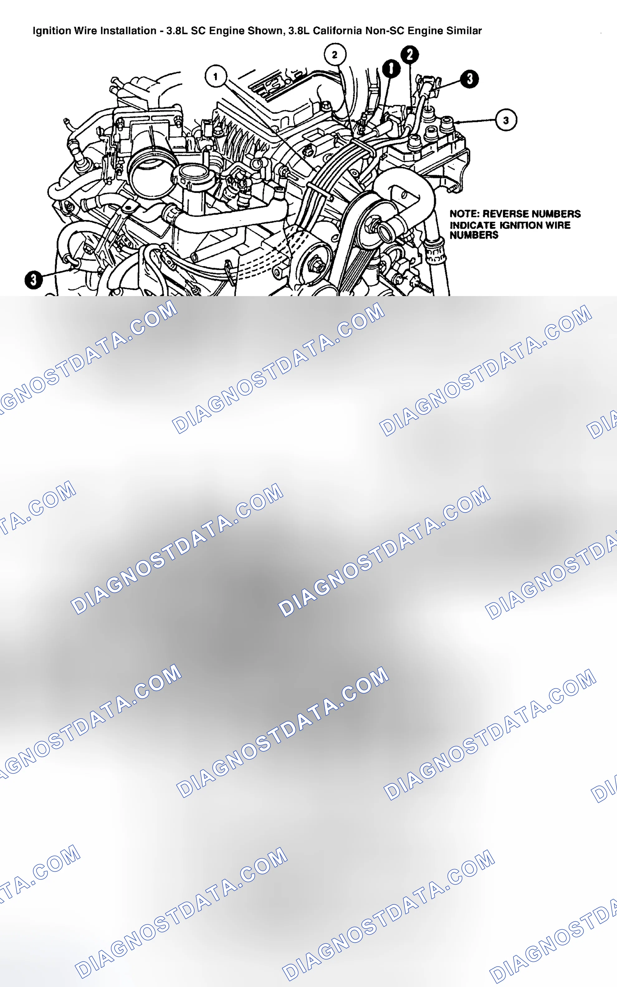 Scheme 7: Spark Plug Wire Routing (3.8L Thunderbird SC - Supercharged)